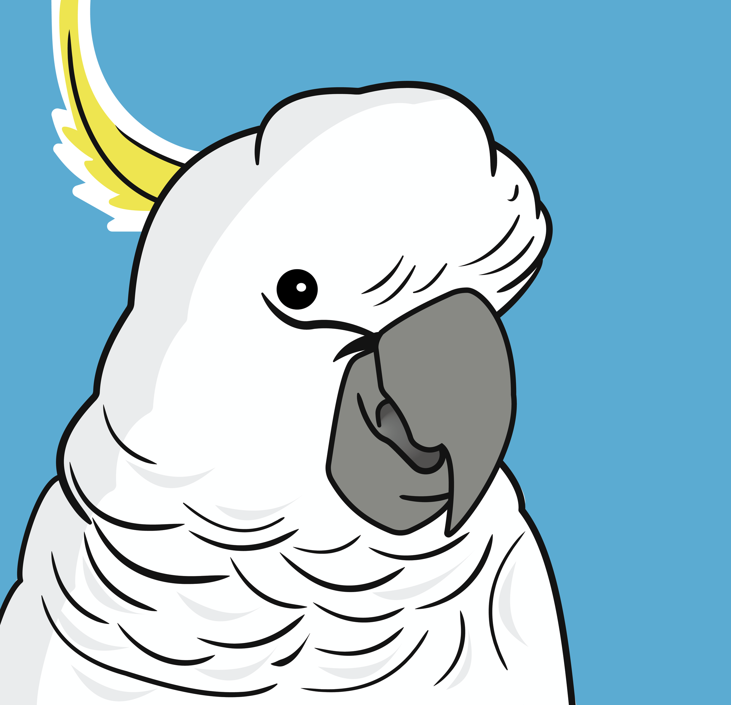 Cartoon image of a Sulphur Crested Cockatooockatoo, with a large gray beak, black eye, and yellow crest against a blue background.