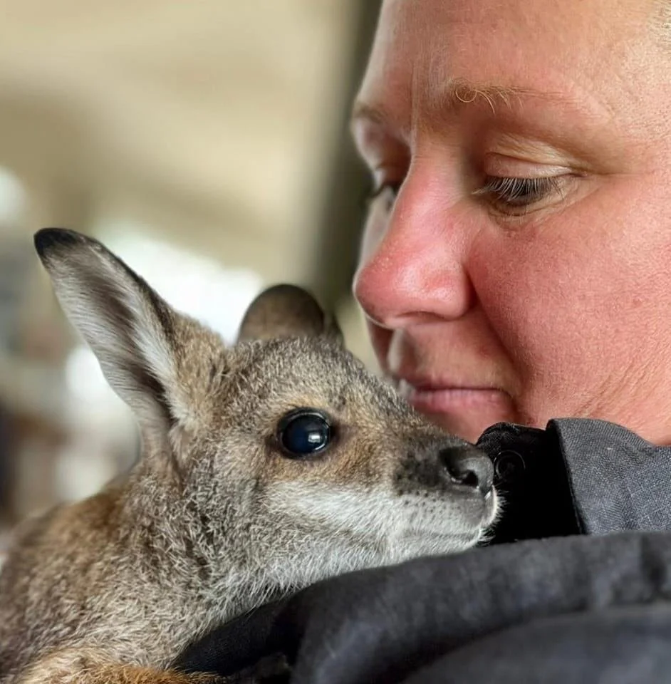Teangi Chambers cuddling a Red-Necked Wallaby joey.
