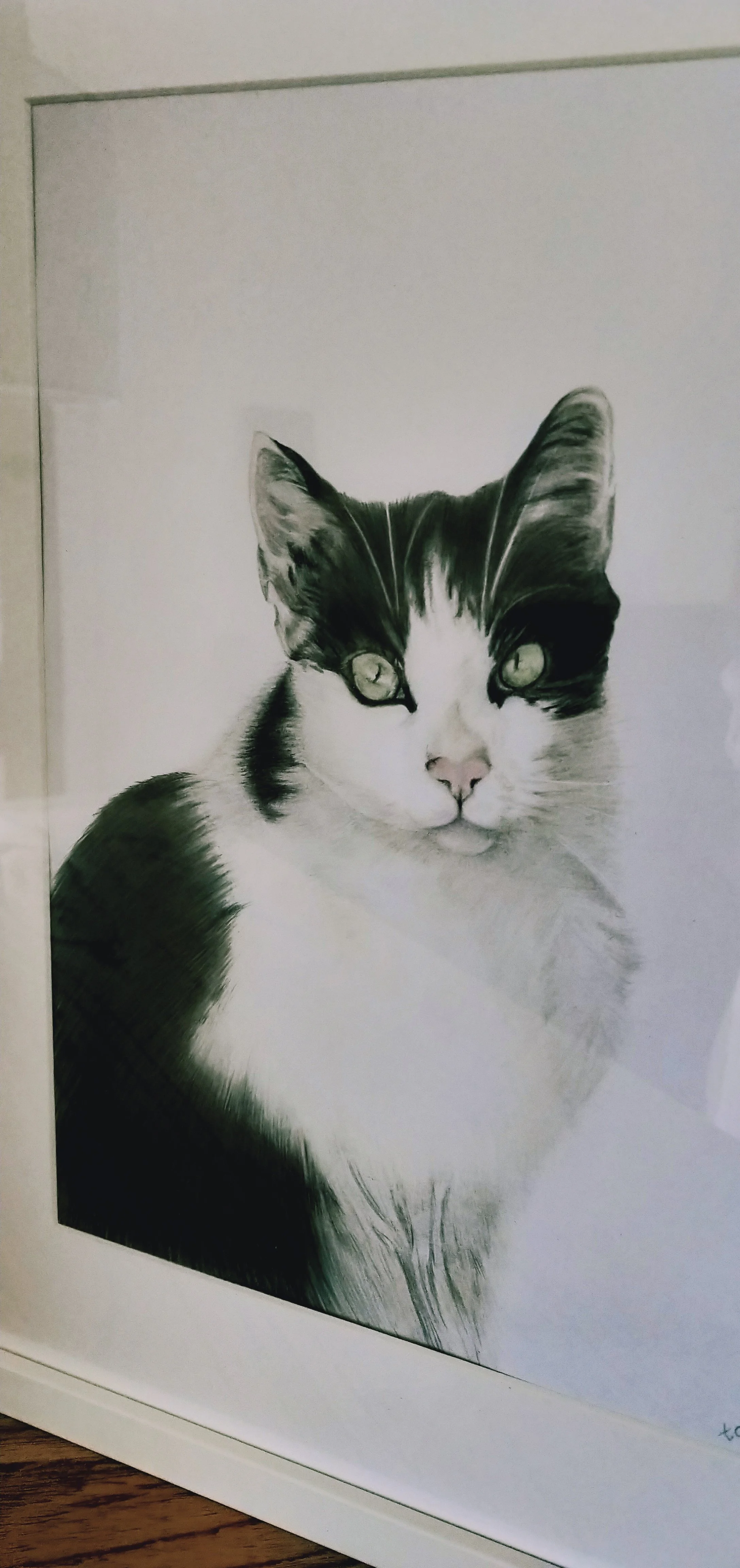 Black and white sketch of a cat with piercing eyes, looking straight ahead.