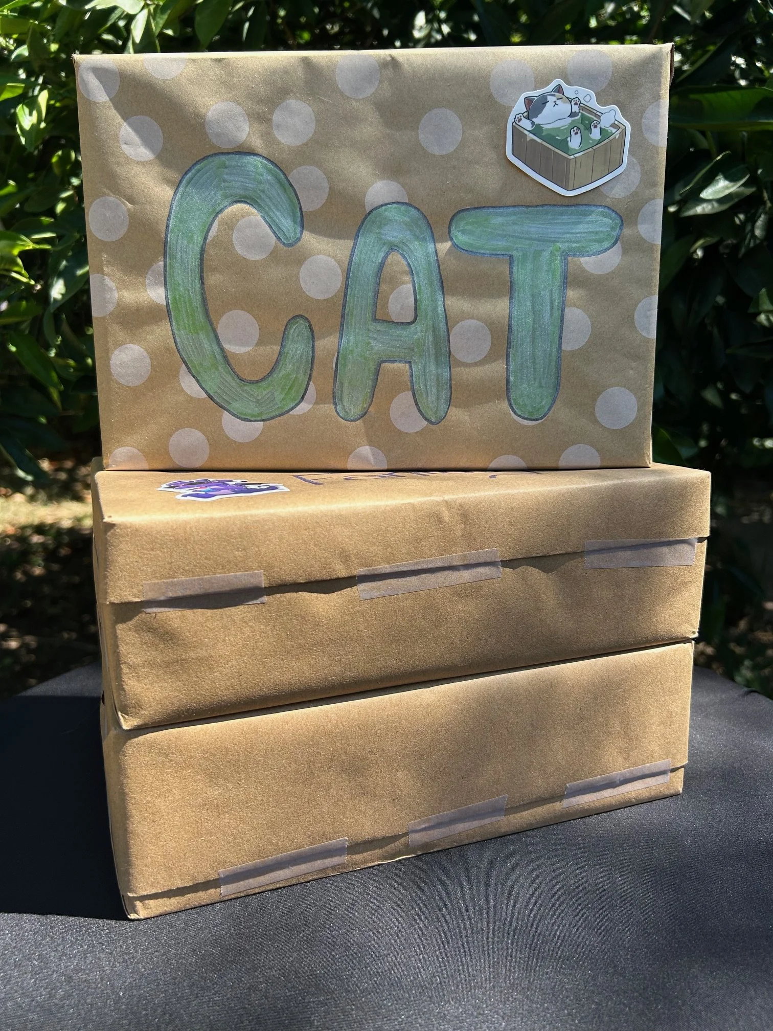 Three stacked boxes wrapped in brown paper with a colorful cardboard sign that says 'CAT' and a sticker of a cat relaxing in a hot tub.