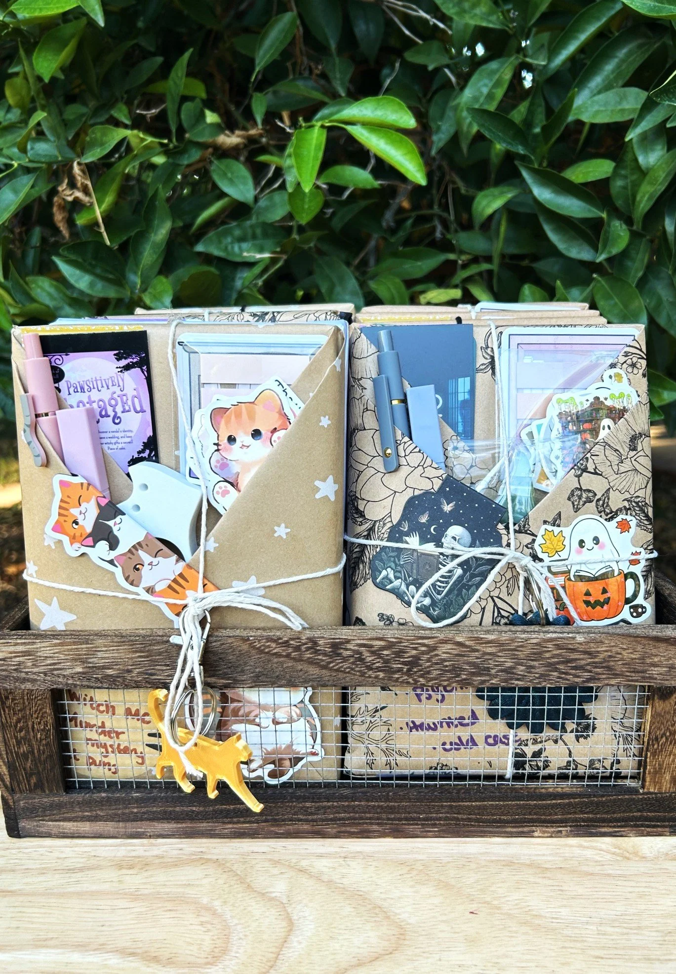 A display of decorative stationery items including notebooks, pens, bookmarks, stickers, and small Halloween-themed charms arranged in a cardboard organizer on a wooden countertop, with green leafy plants in the background.