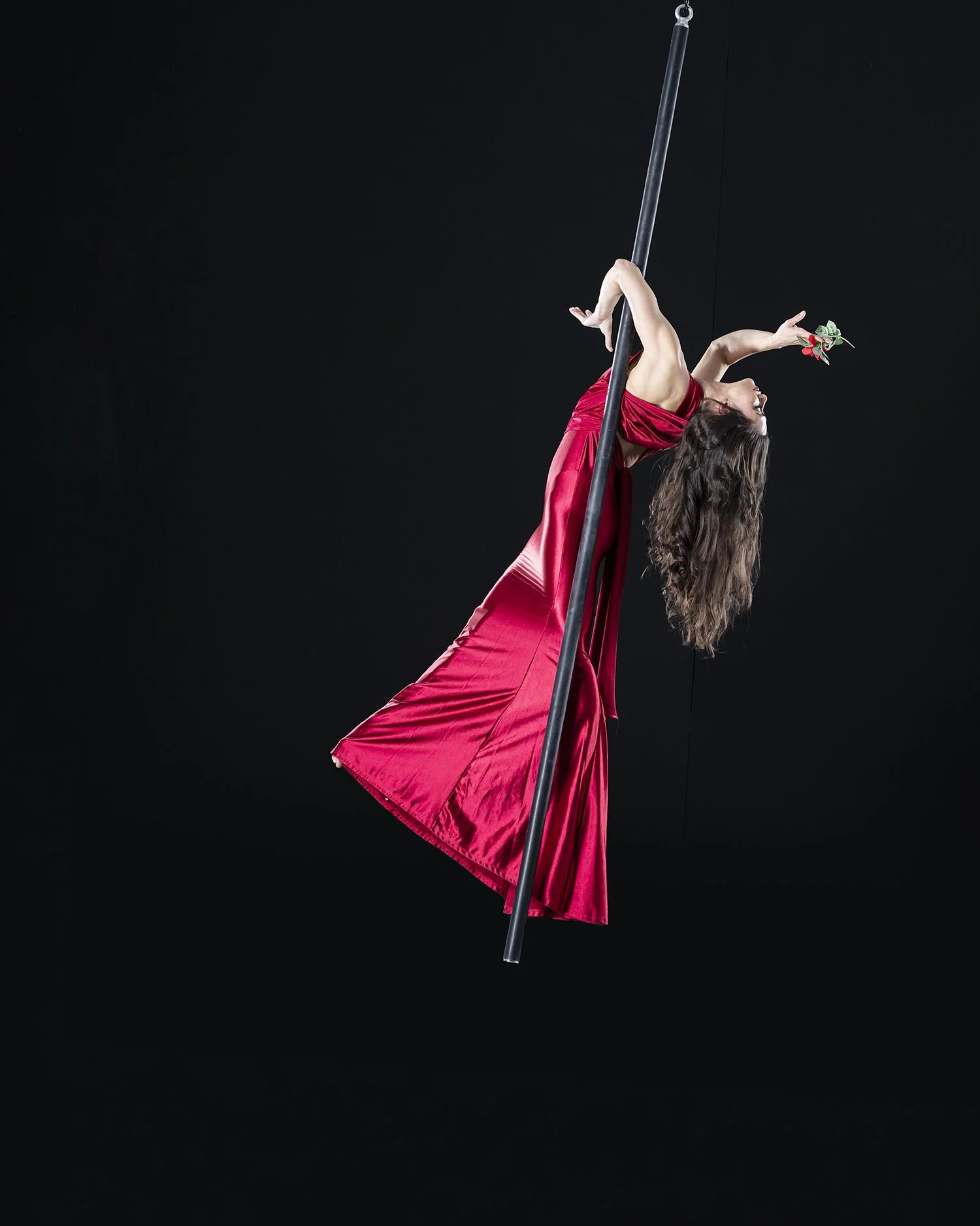 Nia aerial pole 4.jpg