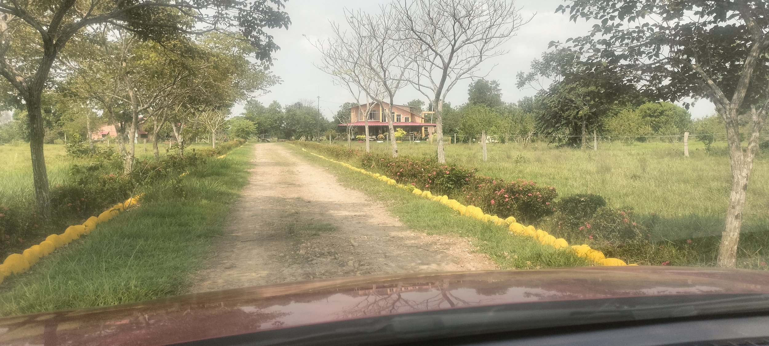 MEJORAMOS CONTINUAMENTE TU FINCA