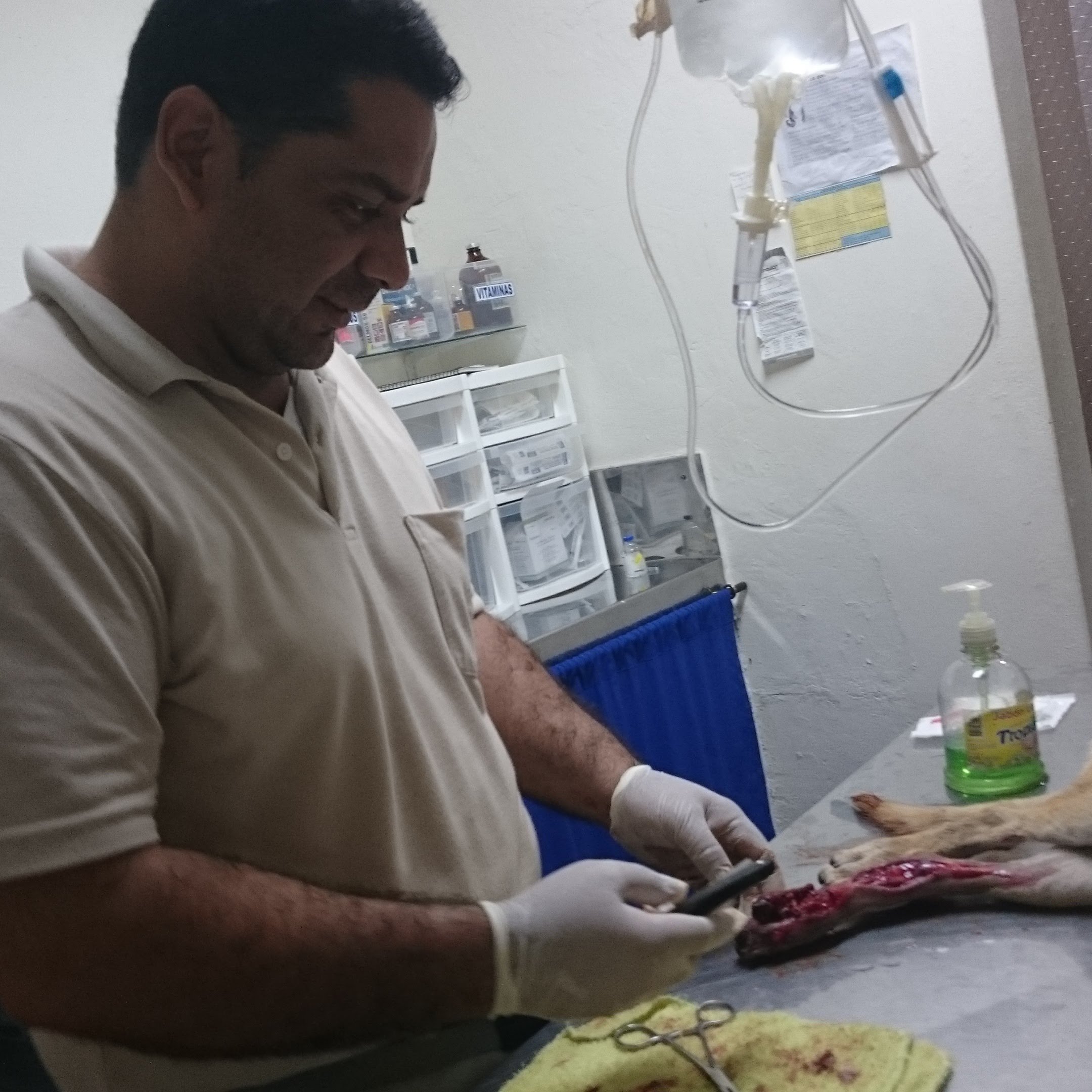 CIRUGIAS CANINAS Y FELINAS