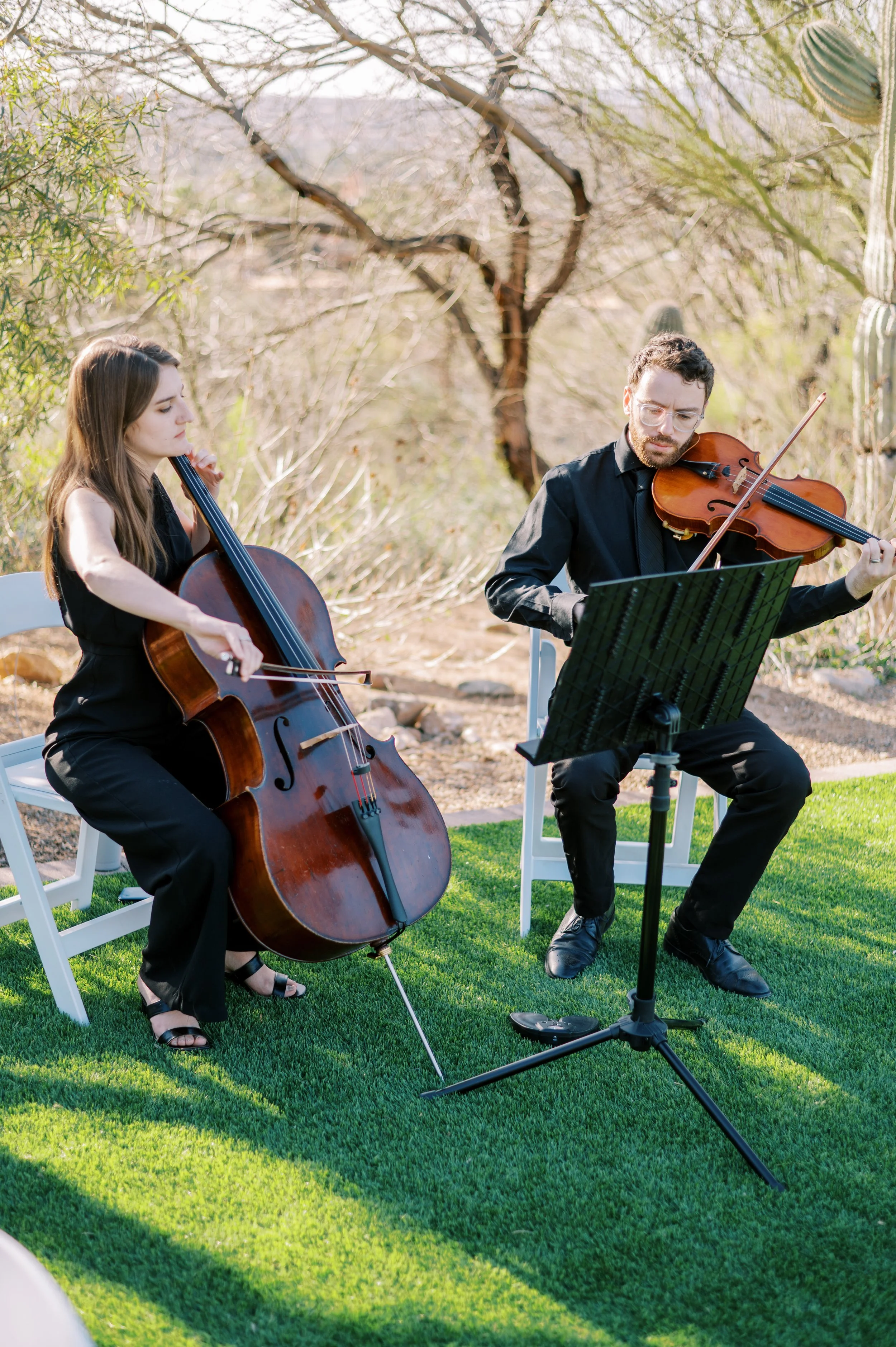 Two musicians, a woman playing a cello and a man playing a violin, performing outdoors on green grass with trees and cacti in the background, sunlit.