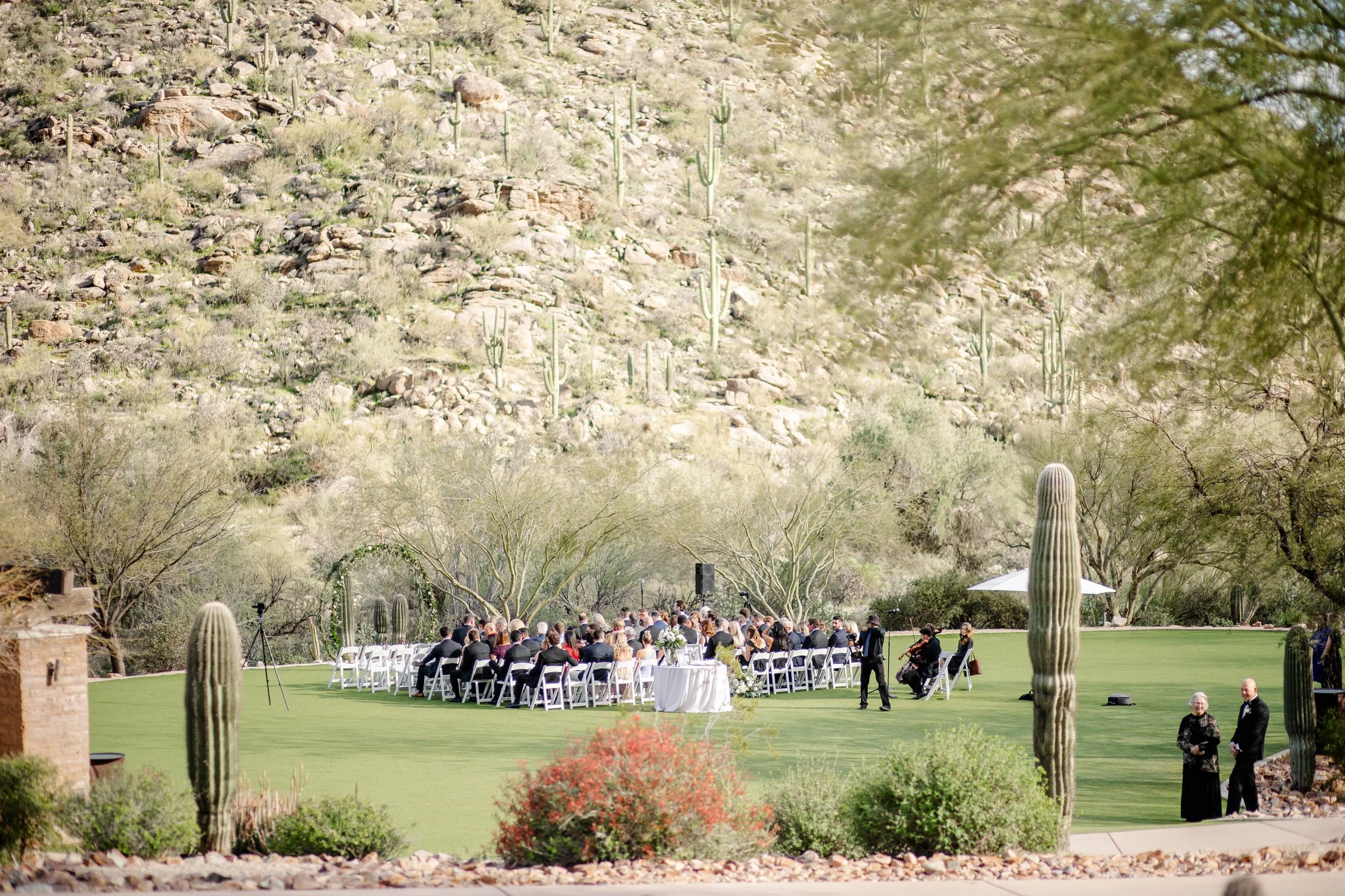 An outdoor wedding ceremony setup with white chairs arranged in rows on a grassy area, surrounded by desert plants, cacti, and mountains in the background.