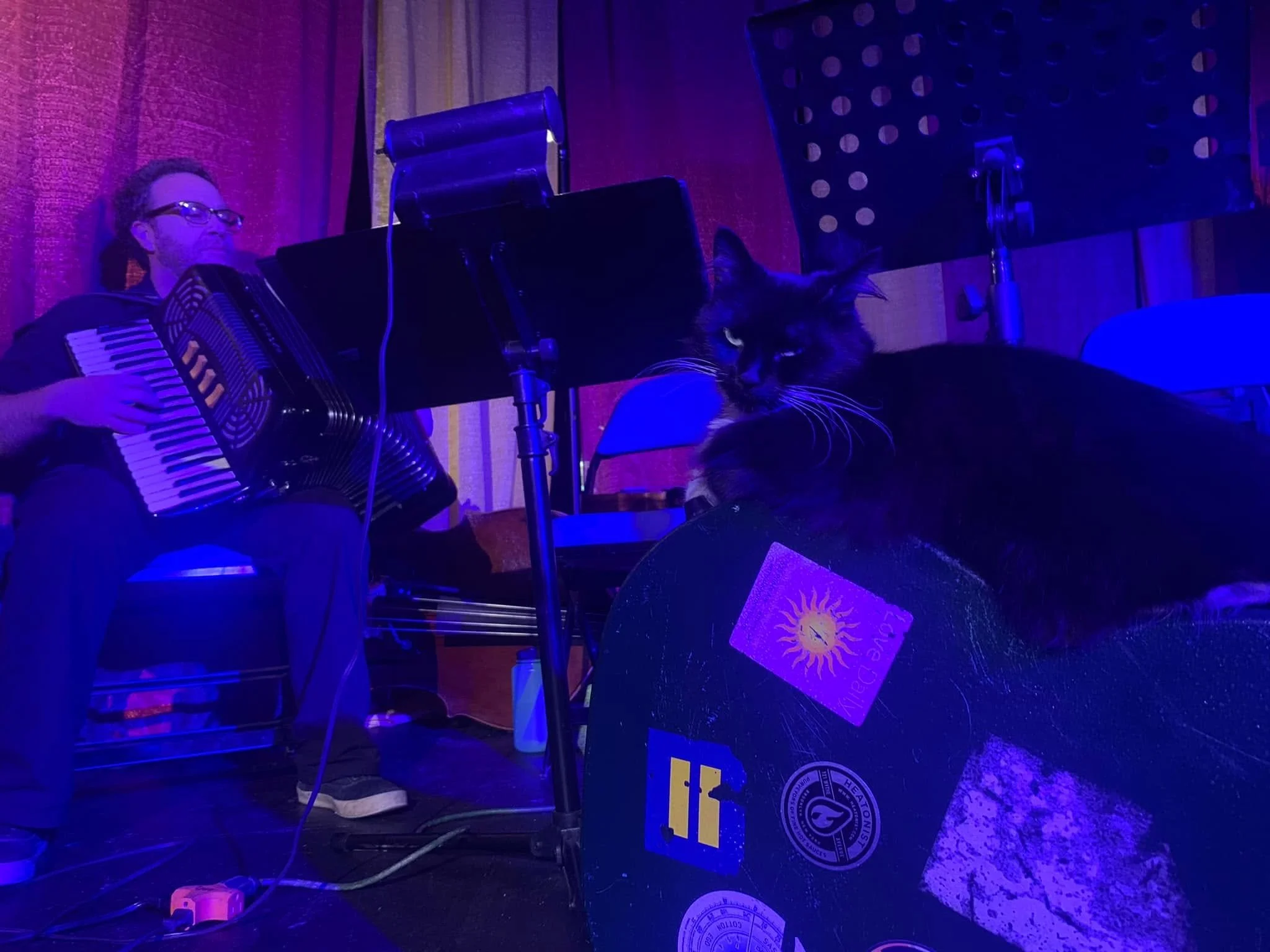 LeChatNoir-accordionplayer-serenadingjola.jpg