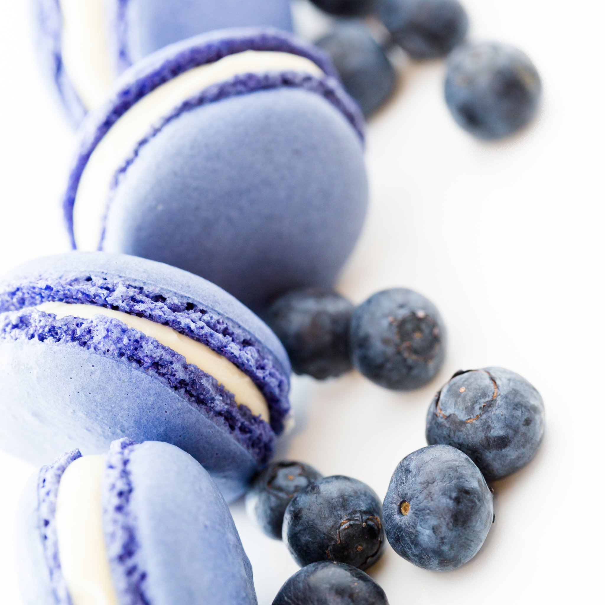 Blueberry Cheesecake