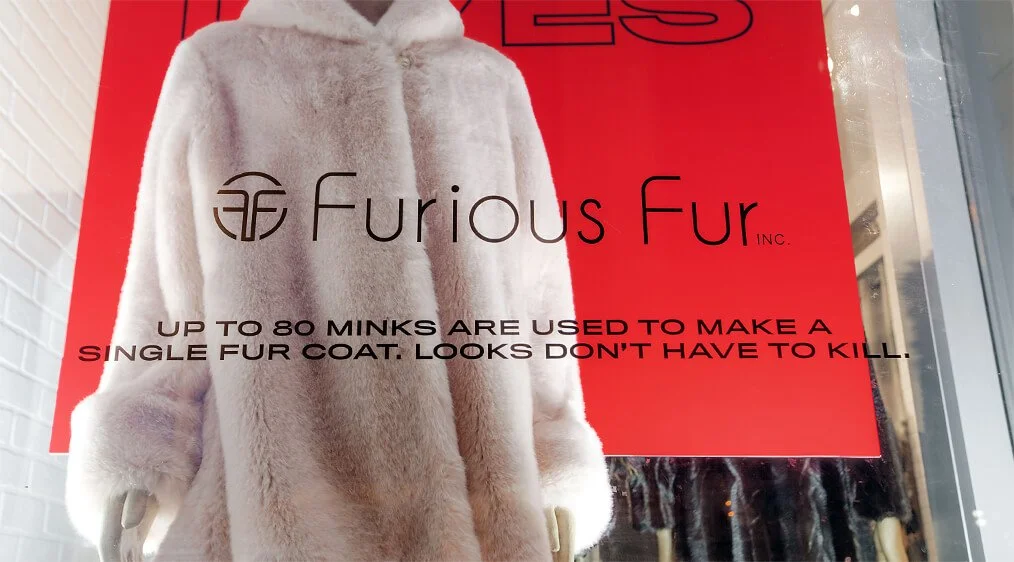 Dilini_FuriousFur_furious_fur.jpg