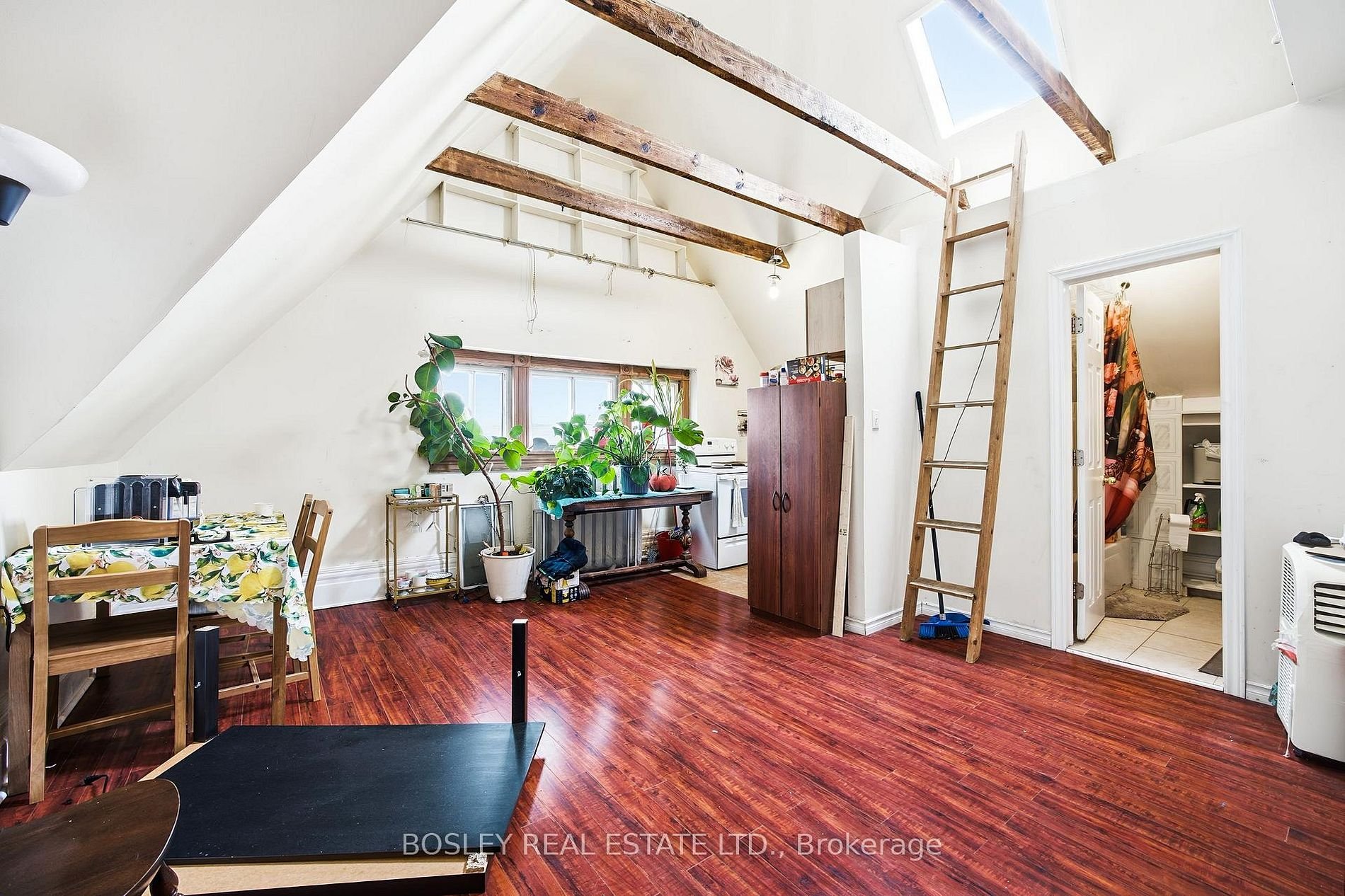 85 walmer rd 2.jpg
