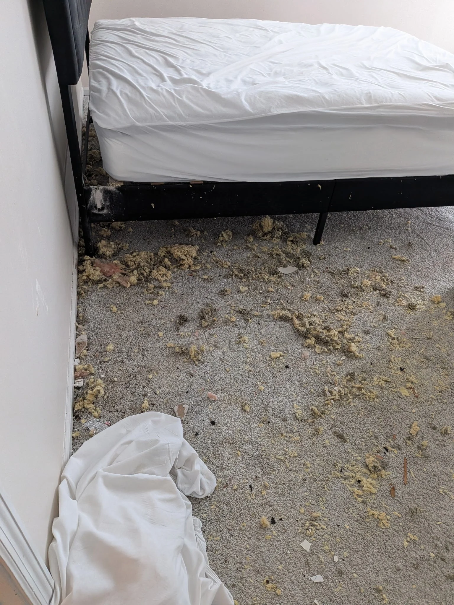 Debris from caved in ceiling