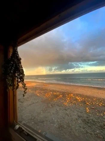 Sunset beach and ocean viewed through a window with hanging ivy