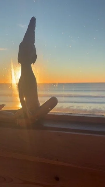 Silhouette of a tall driftwood sculpture on a windowsill overlooking the ocean at sunset