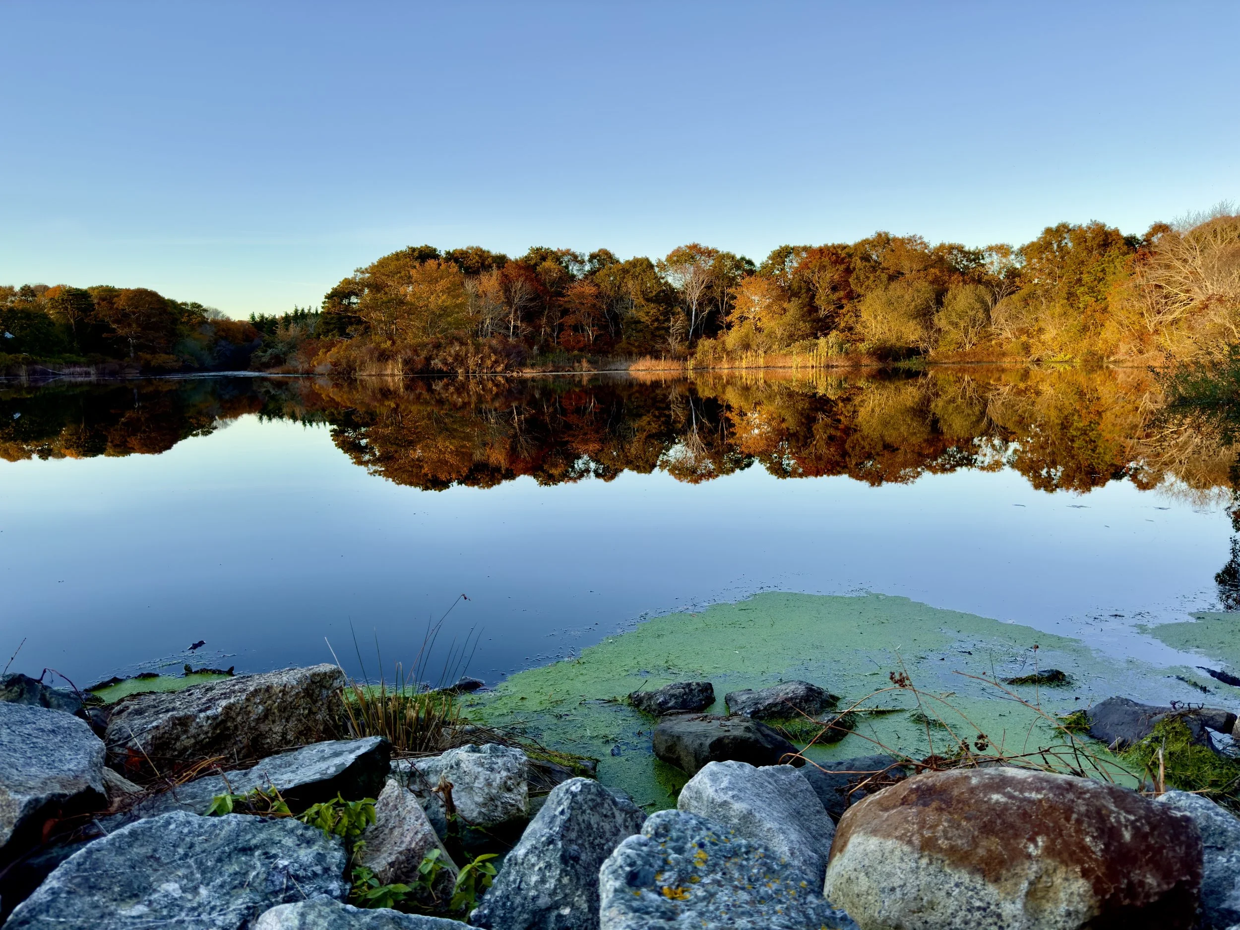 A peaceful lake surrounded by trees with autumn foliage, reflecting the colorful trees in the calm water. Rocks and green algae are visible in the foreground at the edge of the lake.