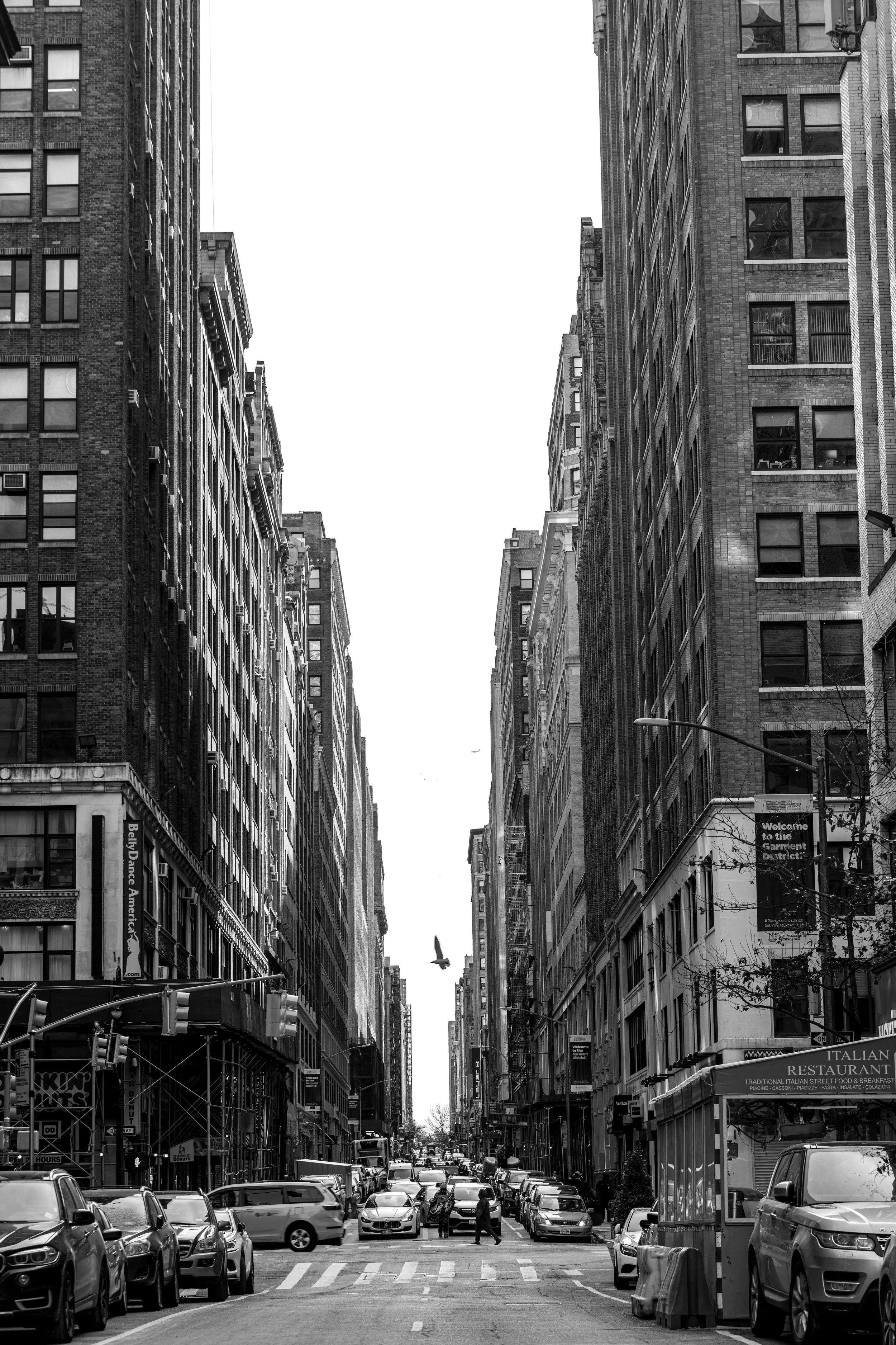 A black-and-white photo of a busy city street with tall buildings on both sides, cars parked along the street, and a few pedestrians crossing the street in the foreground. A bird is flying overhead, and signs for various businesses are visible on the lower part of the buildings.