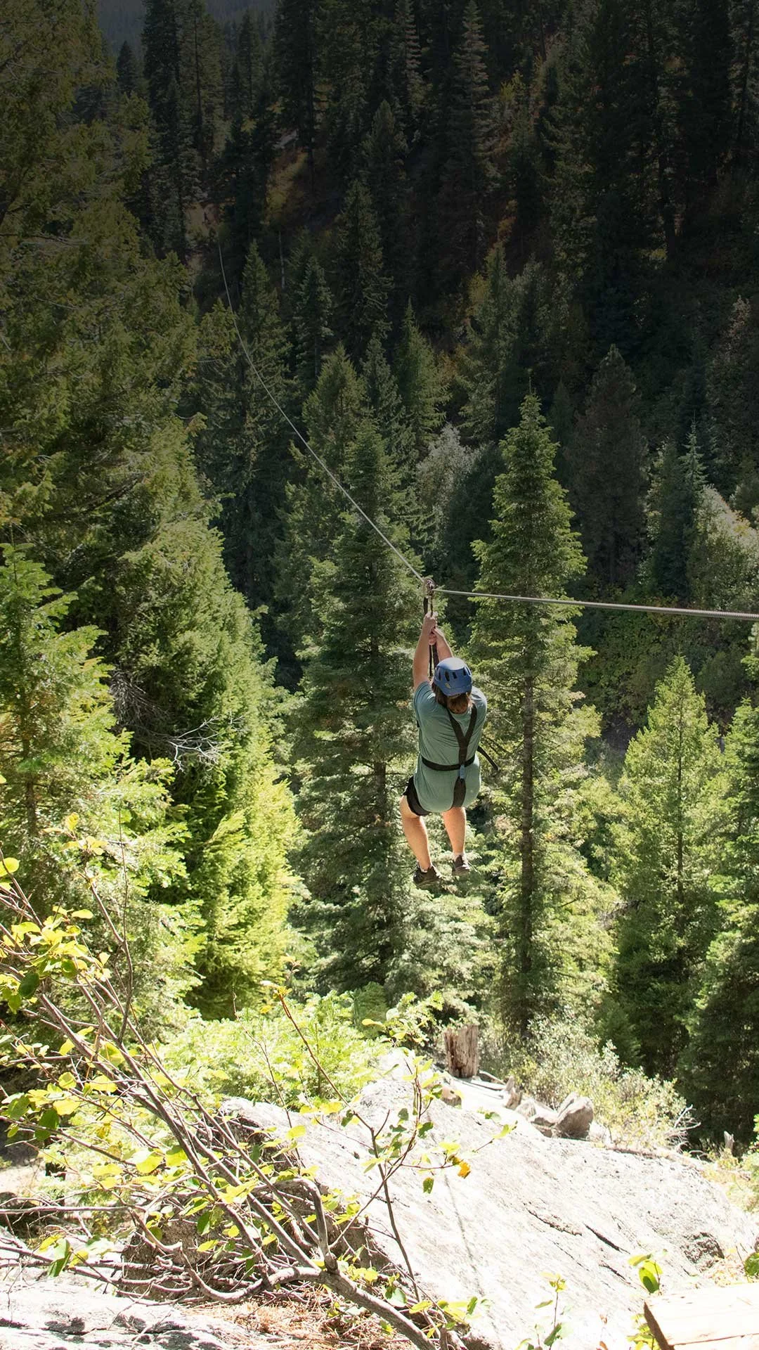 Zip lining through a forest