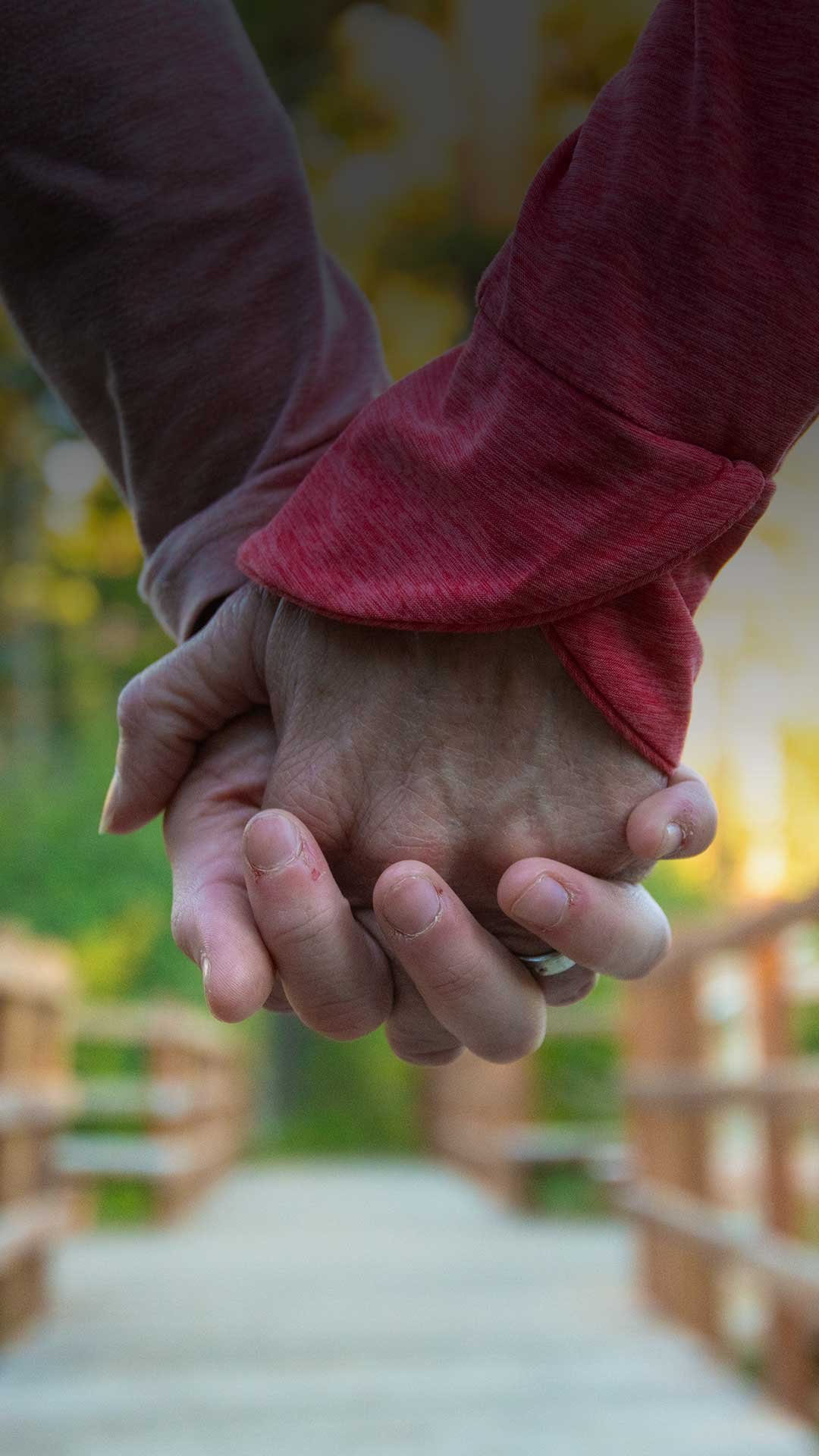 Close-up of holding hands