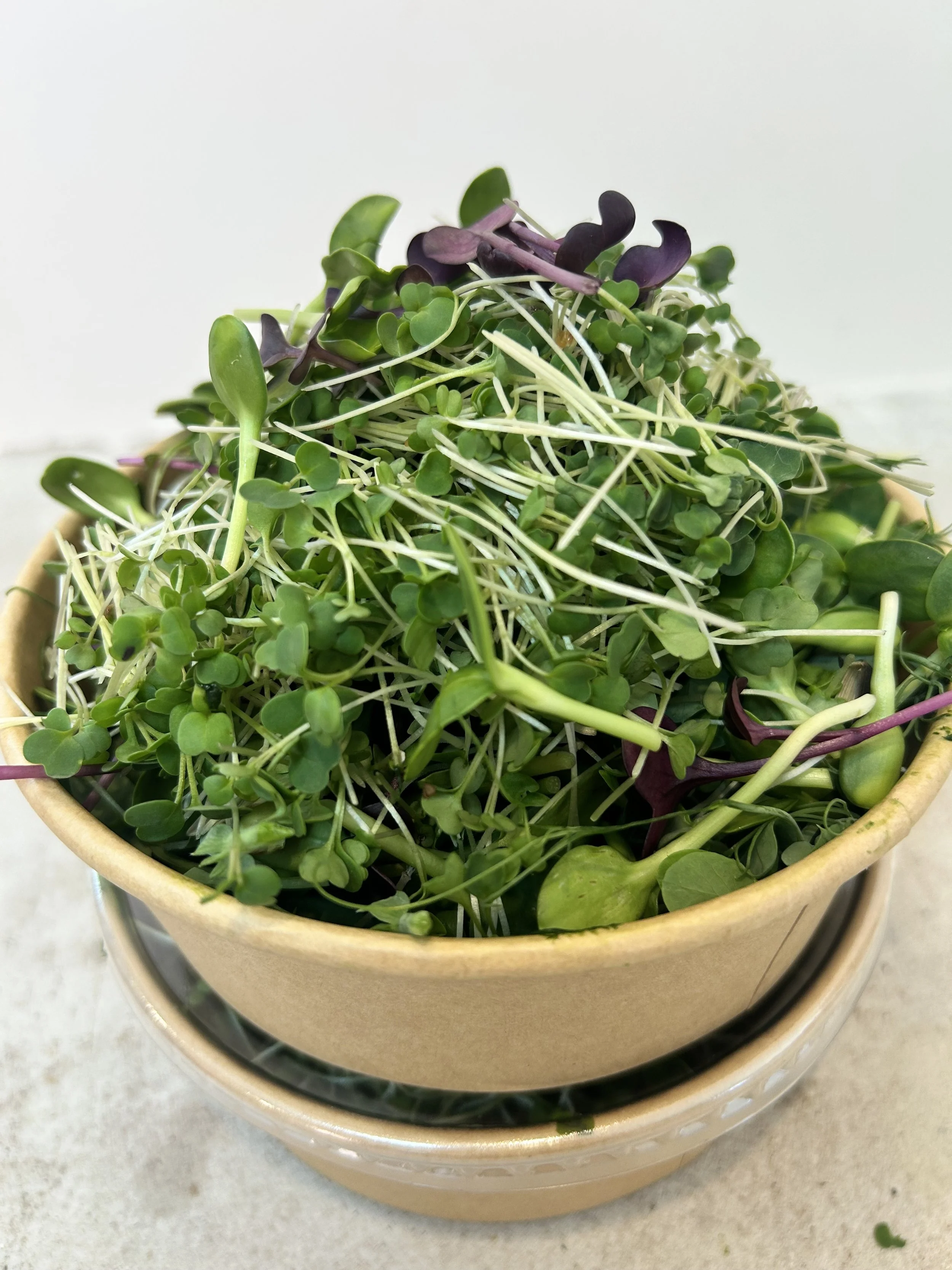 Mixed Micro salad