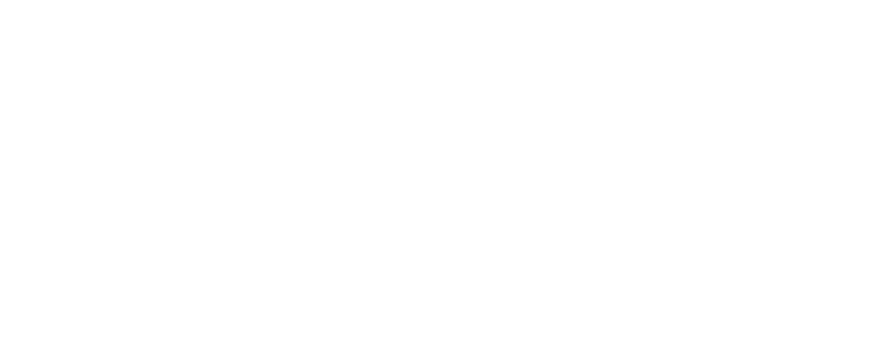 MICHELLE MITCHELL