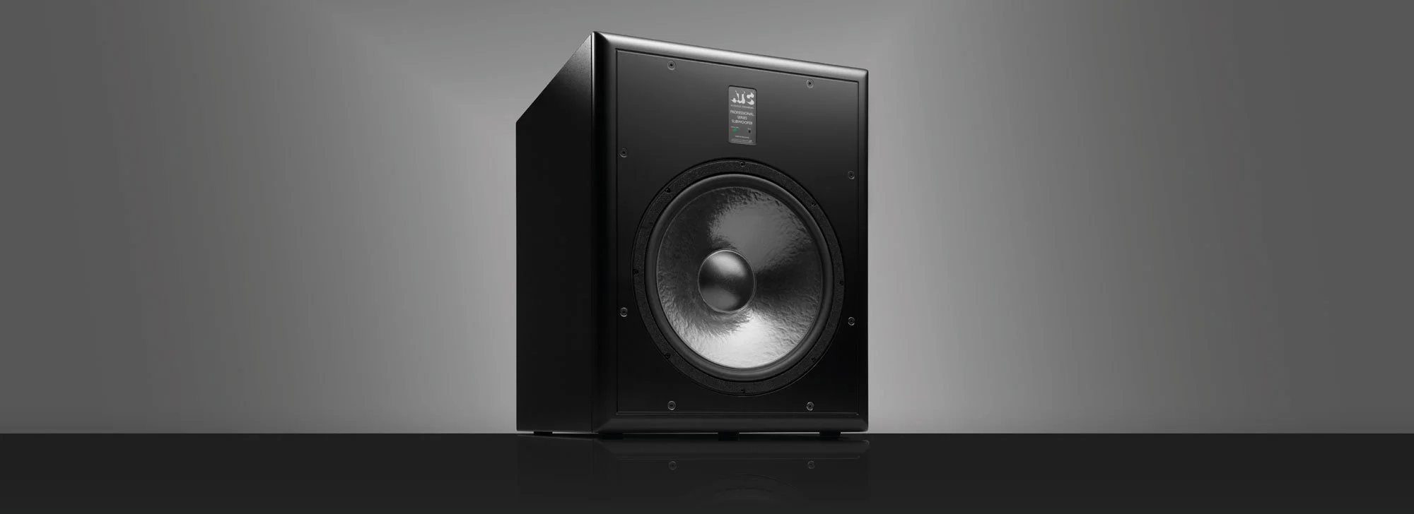 SCM120 Pro Subwoofer