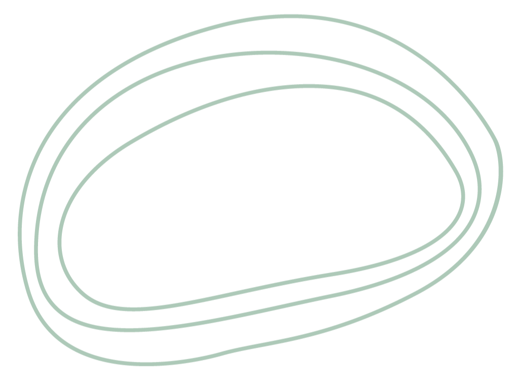 Contour lines representing spine