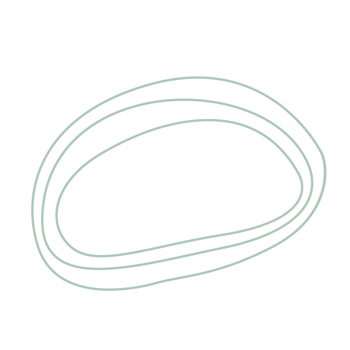 A monochrome illustration of a topographic map with contour lines forming an irregular, elongated shape on a black background.