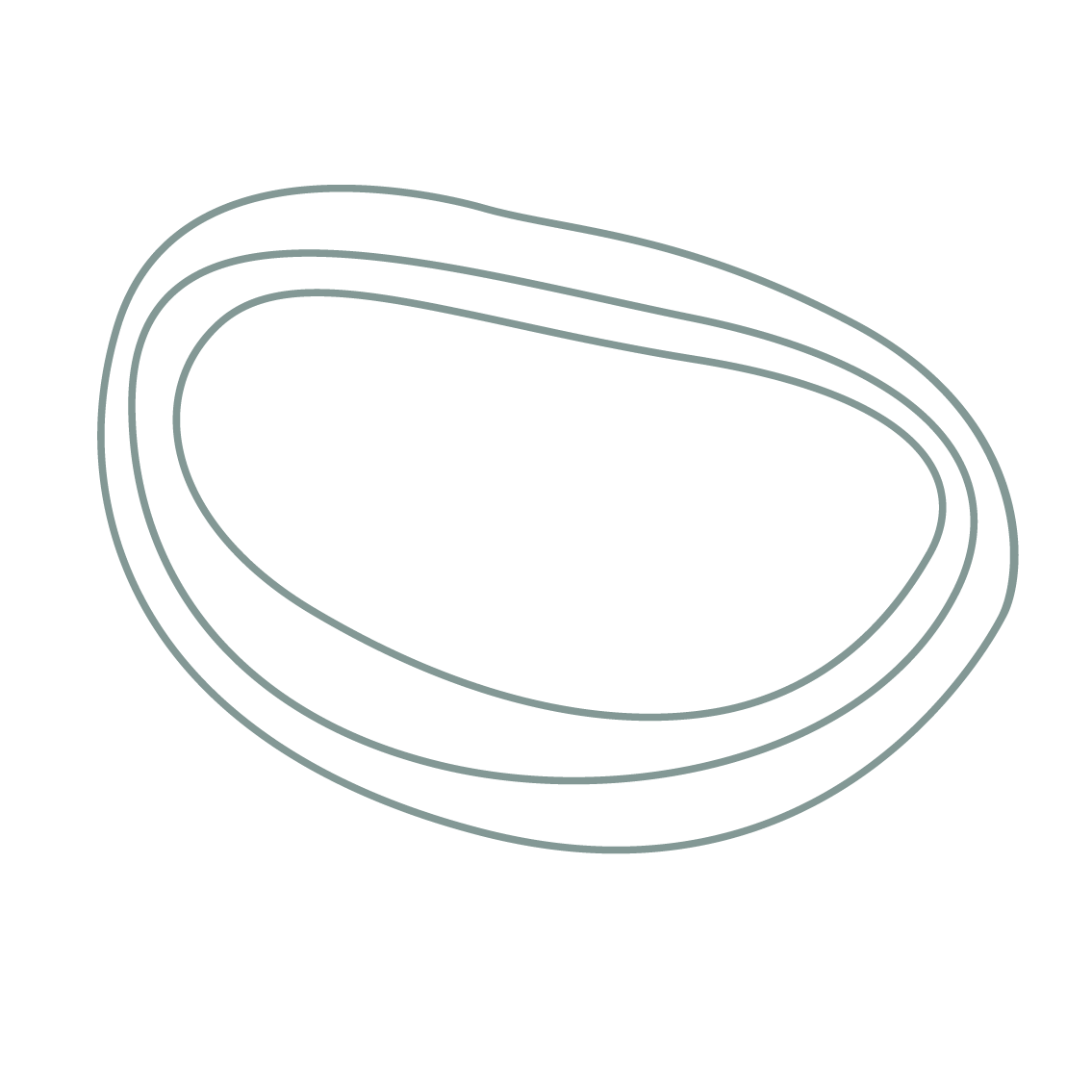 A minimalist drawing of an oval shape with three concentric ovals inside it, on a black background.