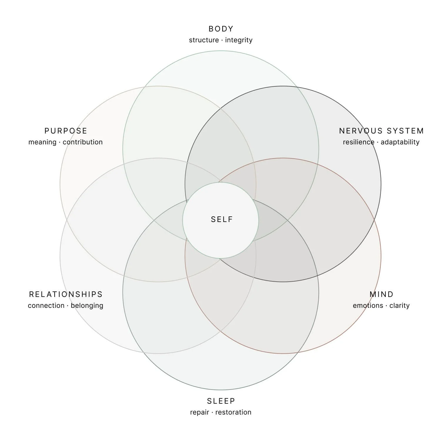 Diagram with circles representing aspects of self: body (structure and integrity), purpose (meaning and contribution), relationships (connection and belonging), mind (emotions and clarity), sleep (repair and restoration).