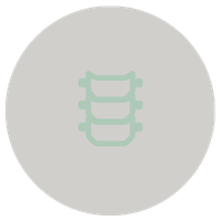 Illustration of a DNA double helix in light green against a light gray background.