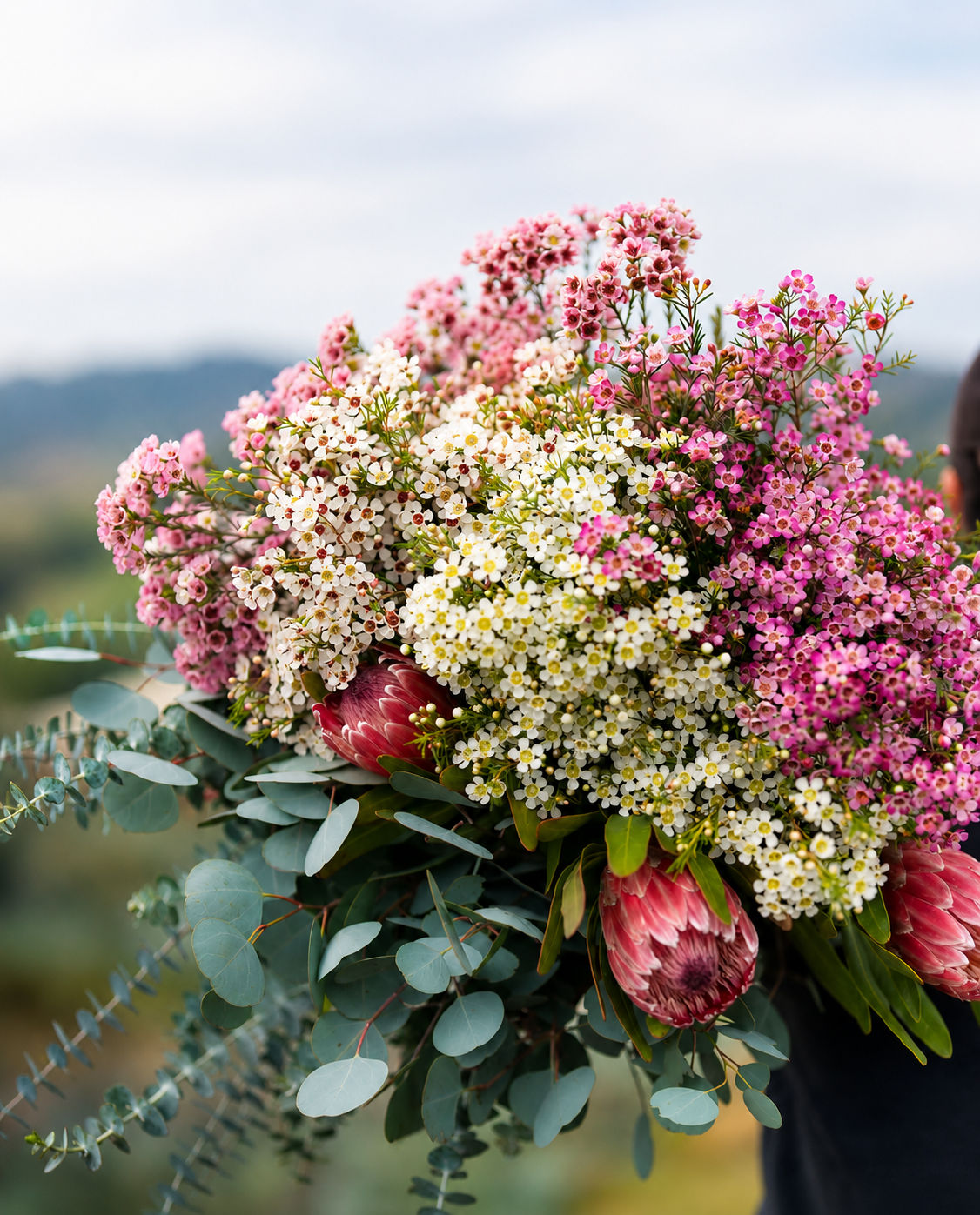 Mixed bunch of pink and white waxflower, proteas and eucalyptus grown at R/A Growers