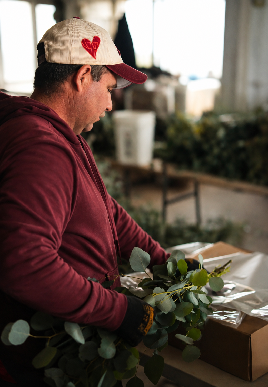 A worker in a maroon shirt tending to freshly harvested foliage at R/A Growers