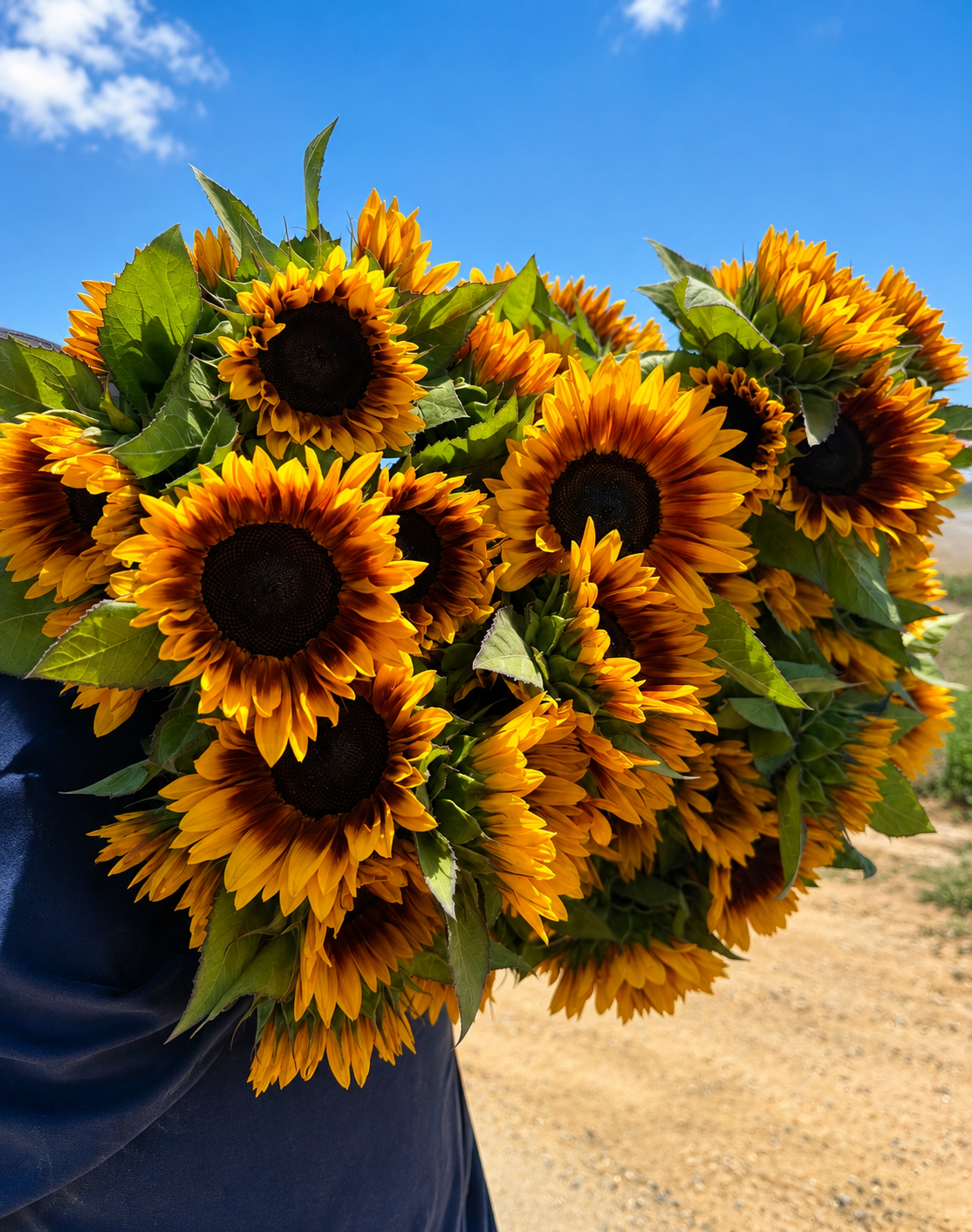 A person holding a large bunch of bright yellow sunflowers against a clear blue sky