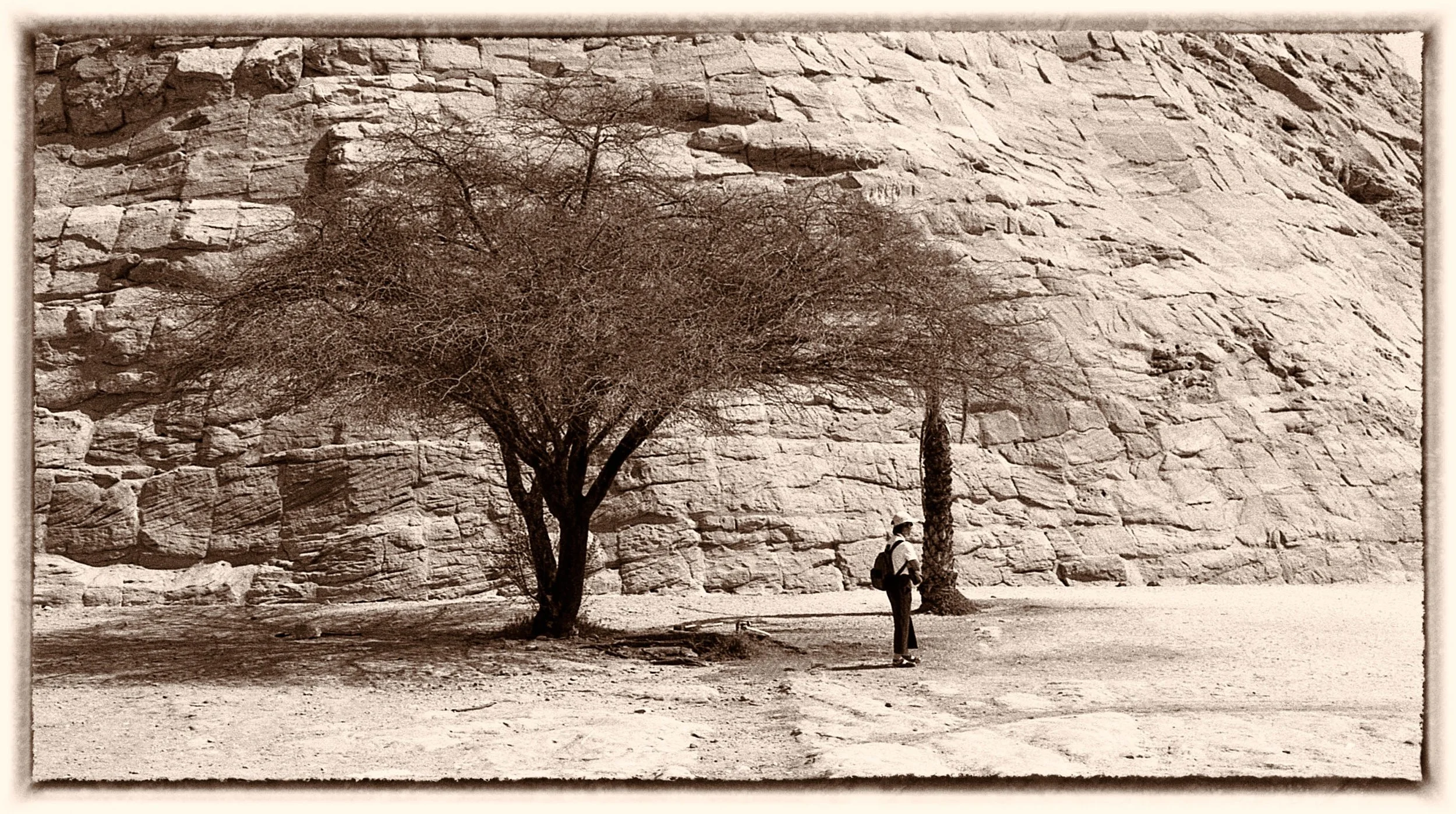 img650-Edit.jpg