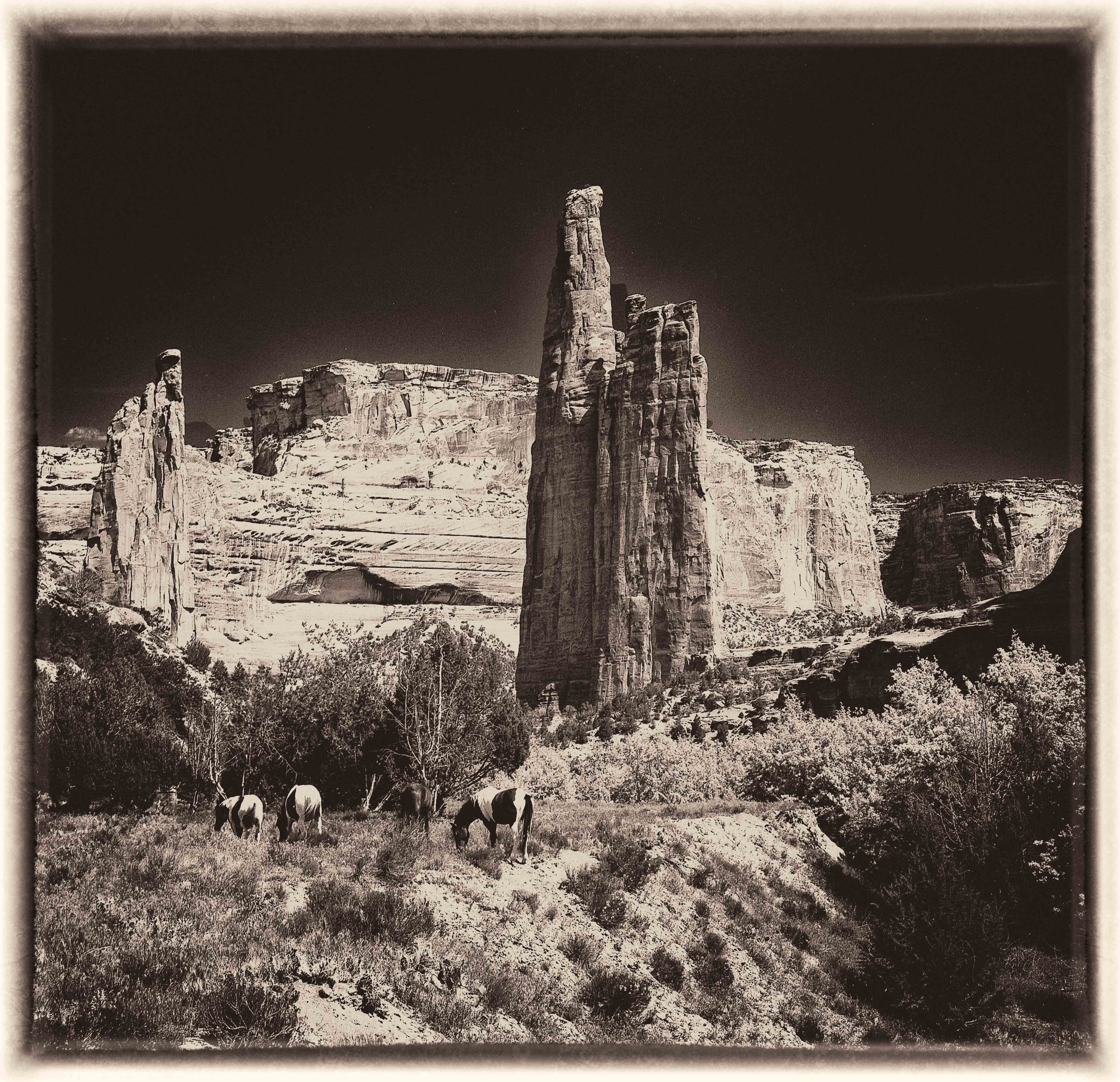 img1389-Edit.jpg