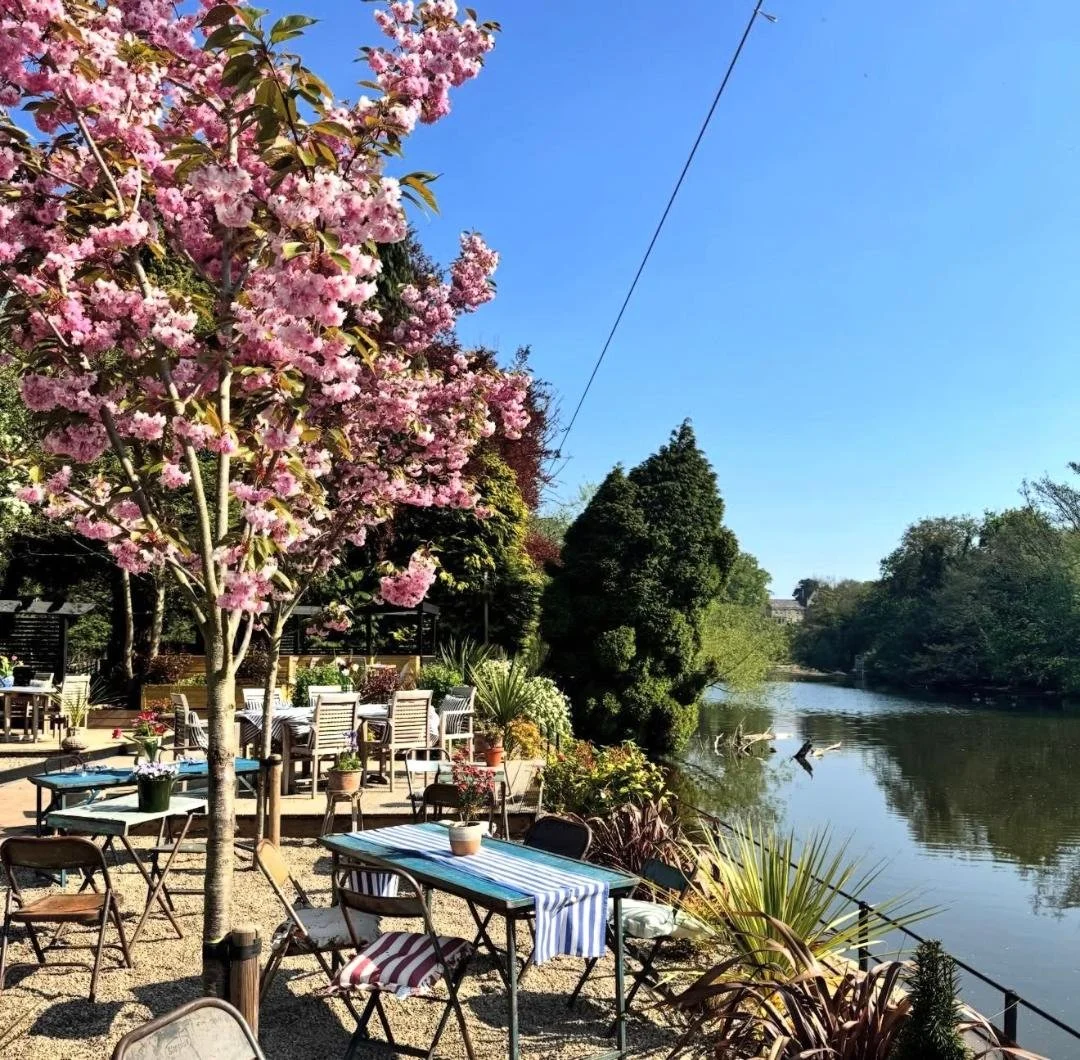 Outdoor patio near a river with pink flowering tree, tables, and chairs under sunny blue sky.