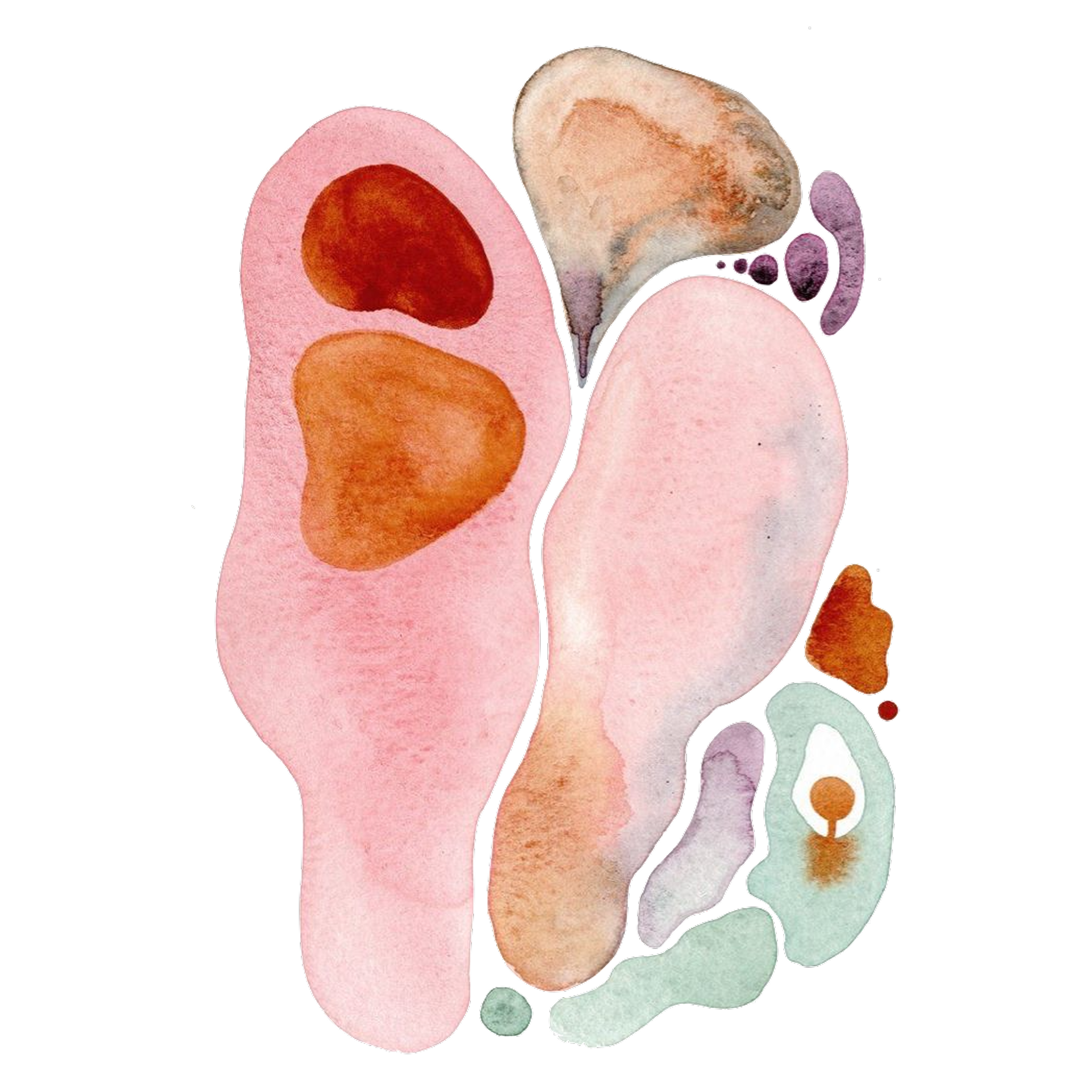 The Importance of Digestion