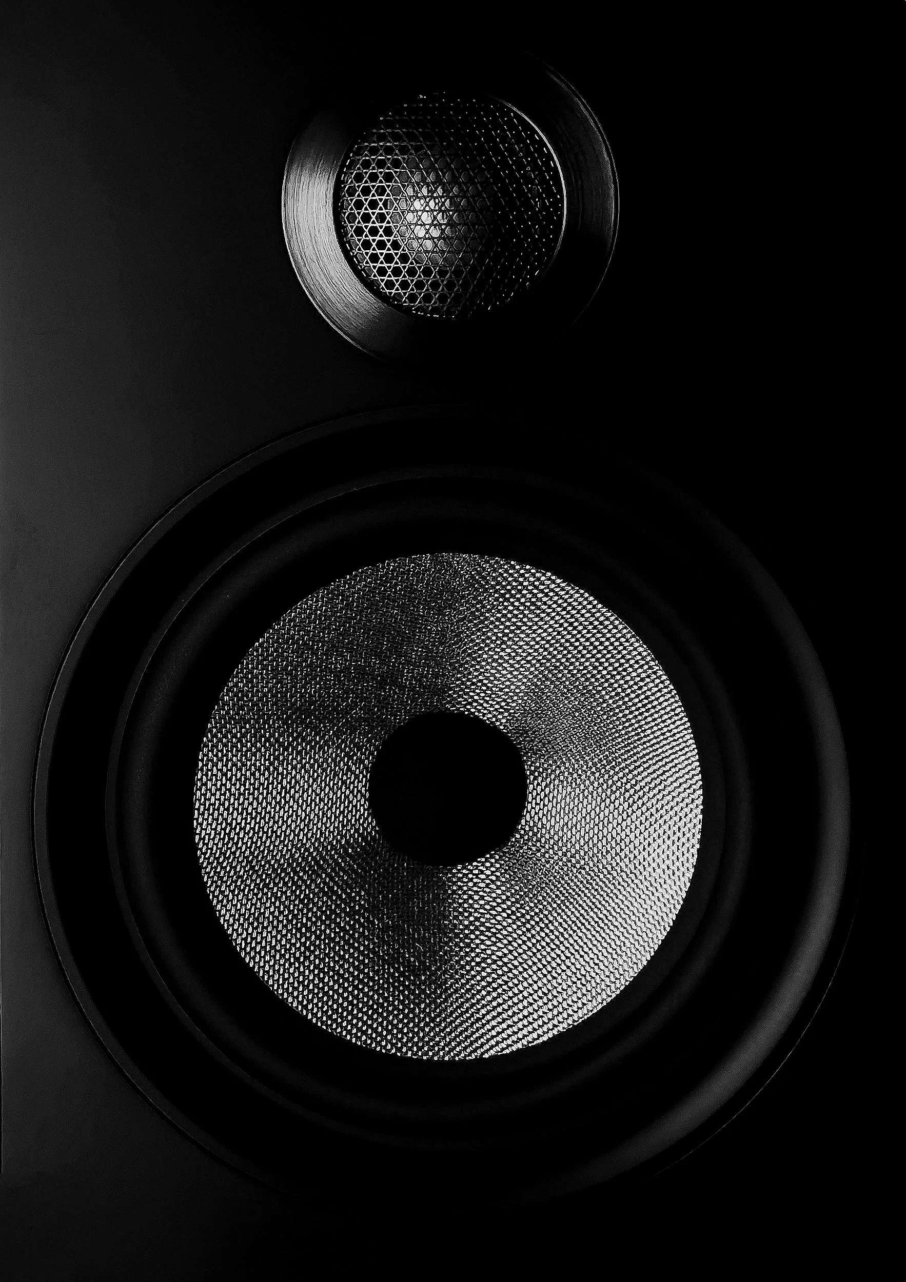 Close-up of a black speaker with two circular speaker cones, one smaller above and one larger below, both with mesh covers.