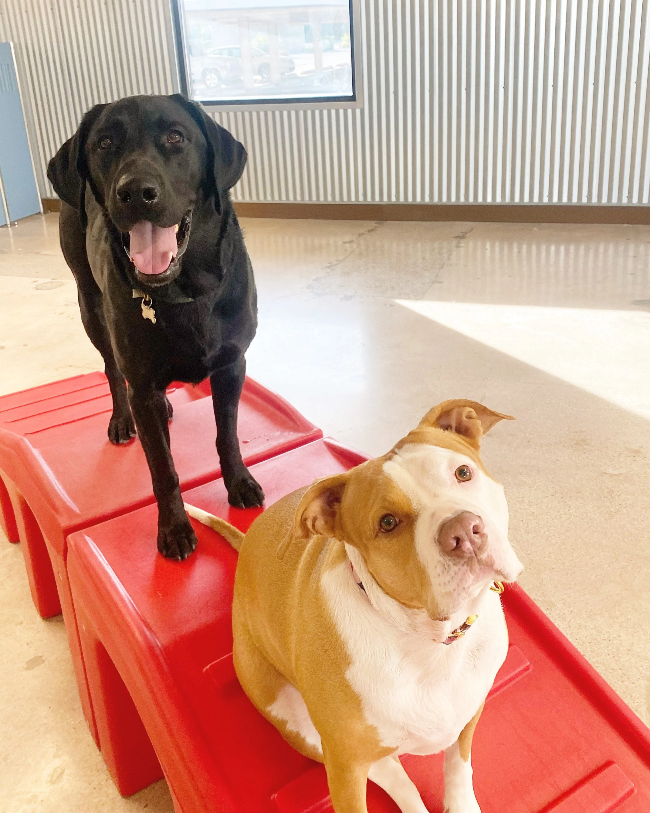 Daycare Round Trip