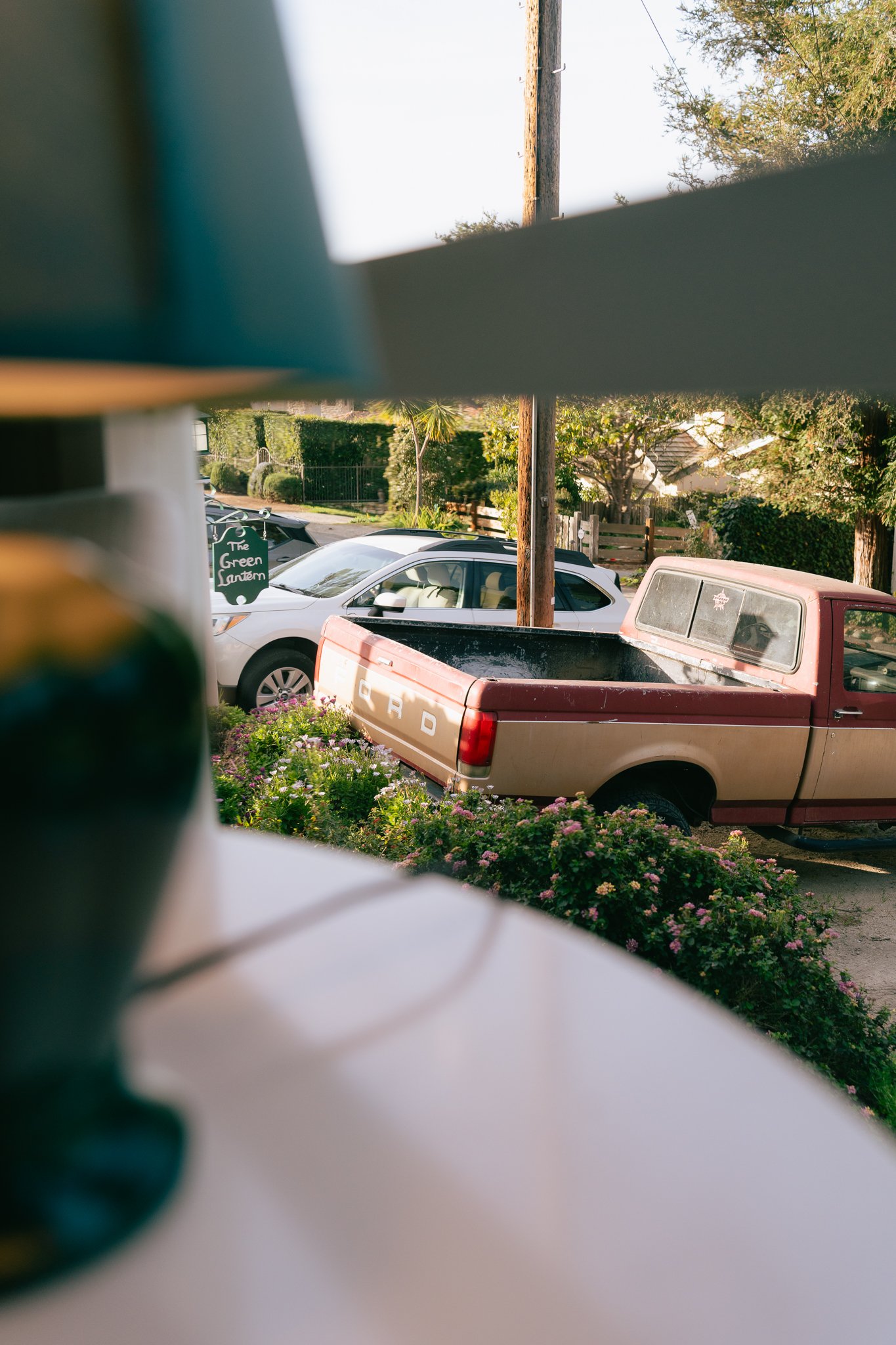View of parked cars including a white sedan and a red pickup truck, flowers in the foreground, trees, and a lamppost in the background, partially obscured by an object in the foreground.