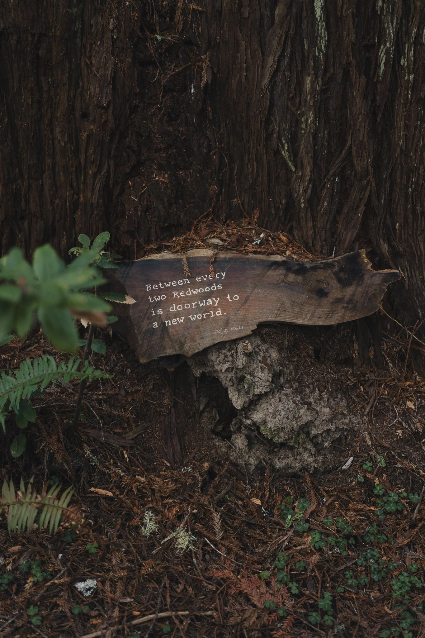 The Farm Mendo-19.jpg