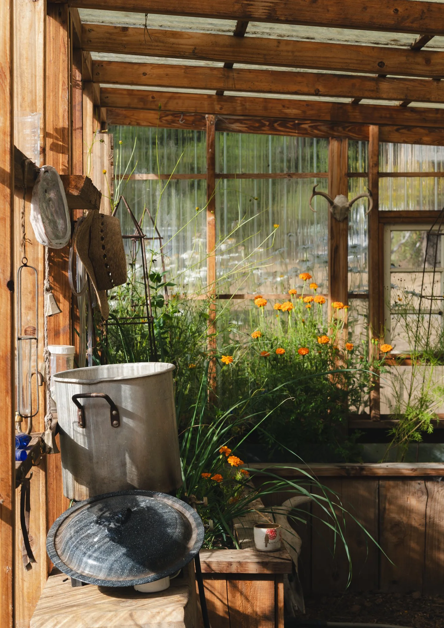The Farm Mendo-37.jpg