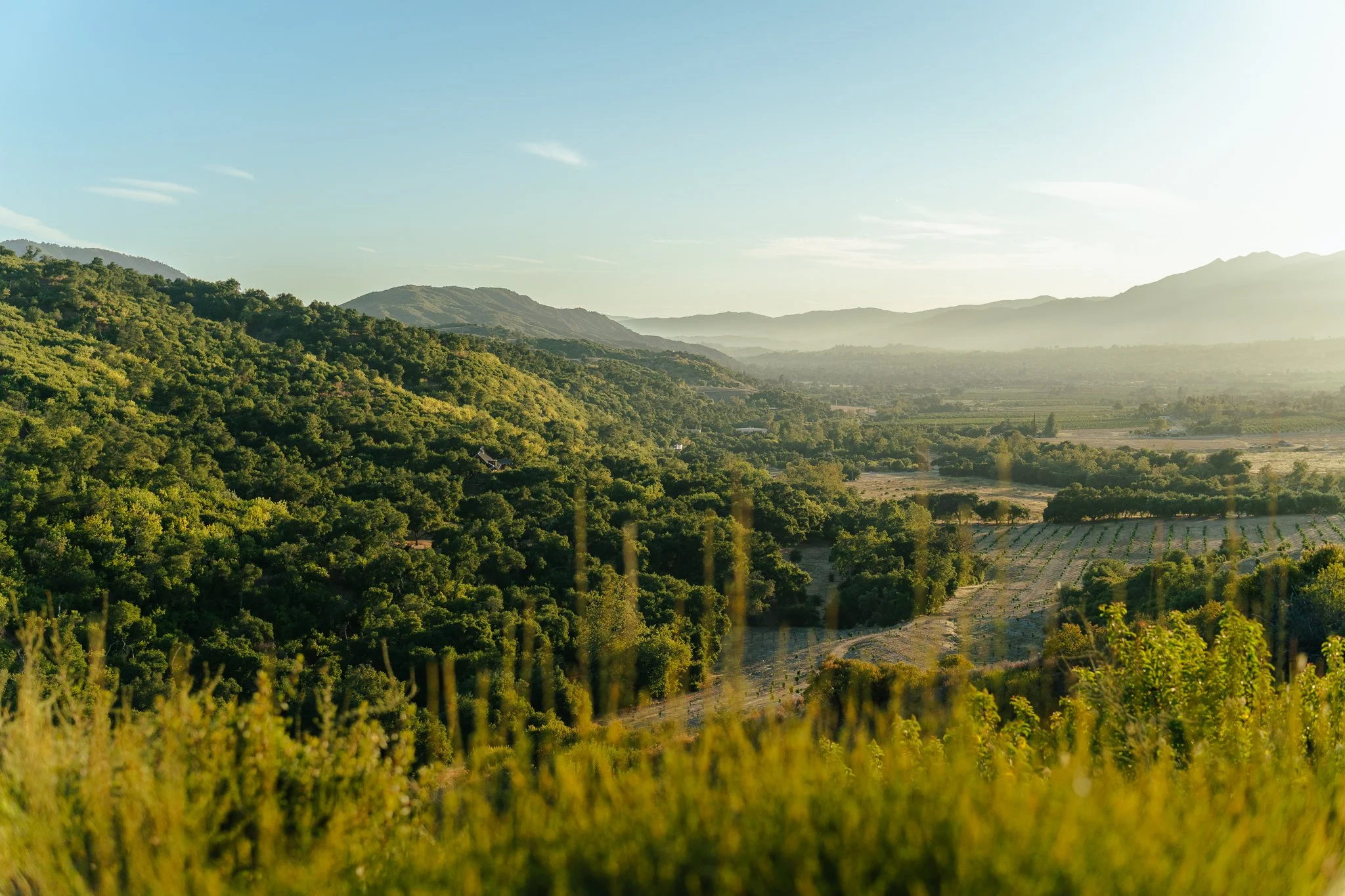 Meditation Mount, Ojai, California