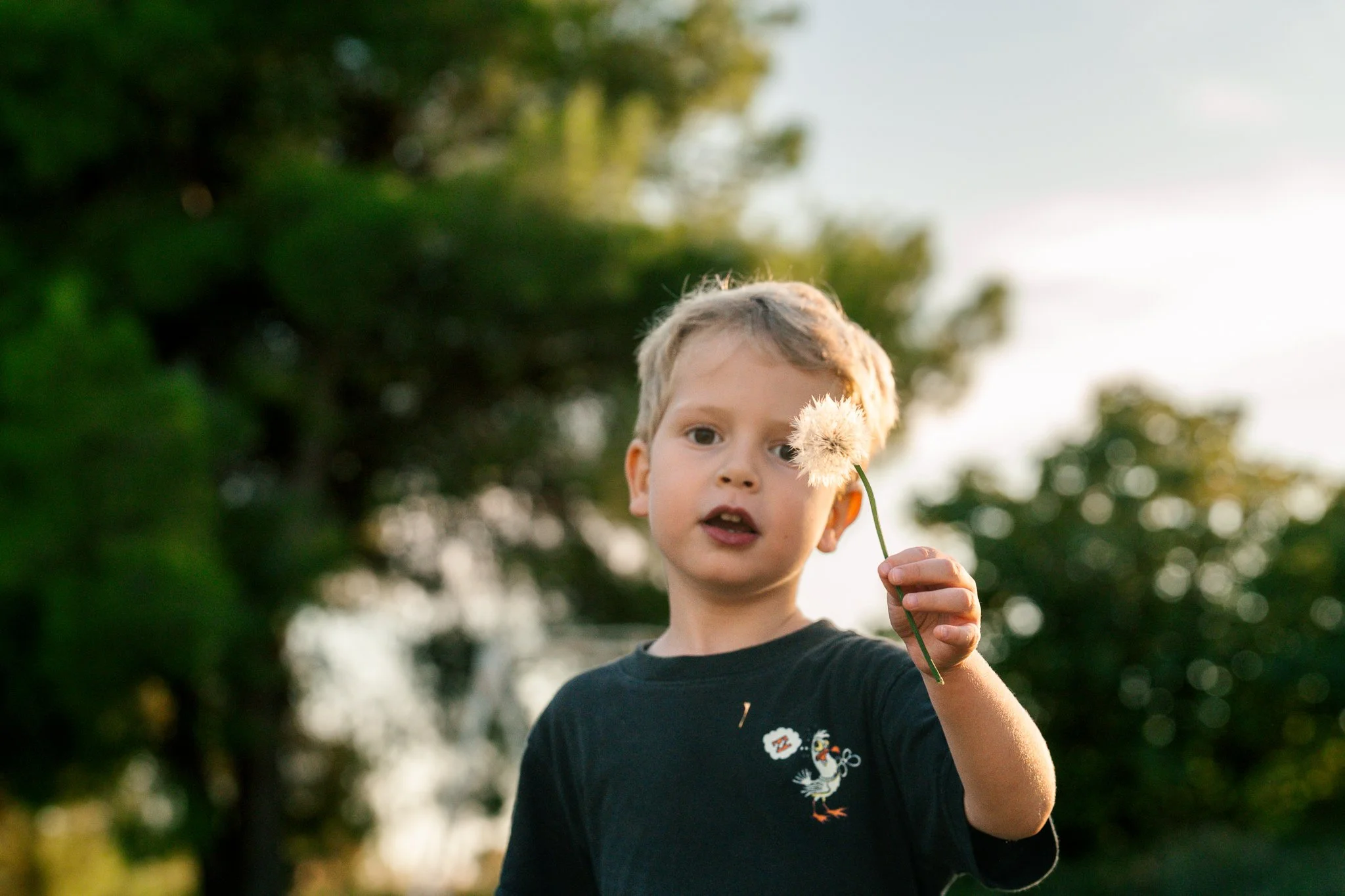A young boy with blond hair and a black t-shirt holding a dandelion flower in a park with blurred green trees and a bright sky in the background.
