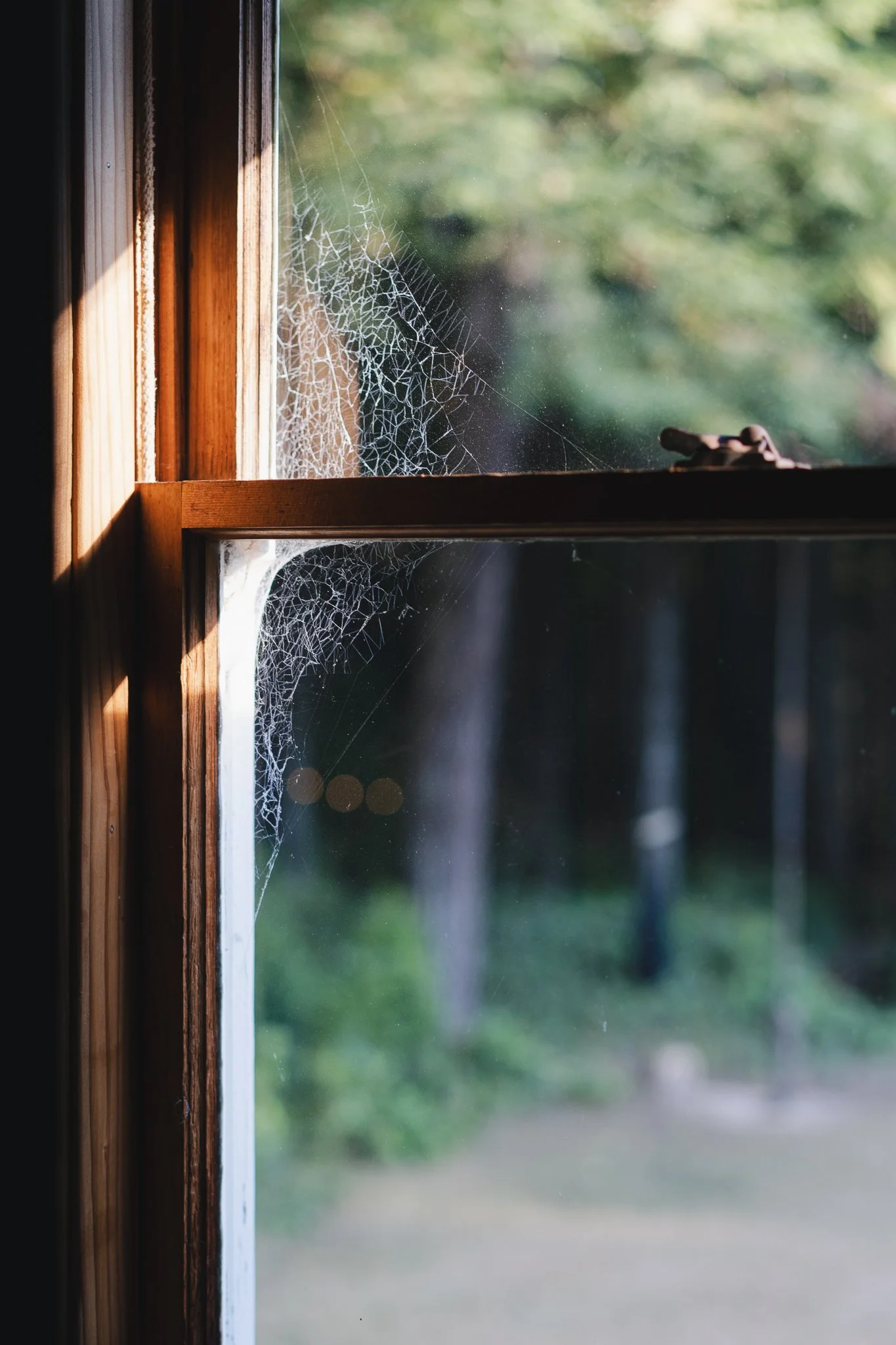 The Farm Mendo-08.jpg