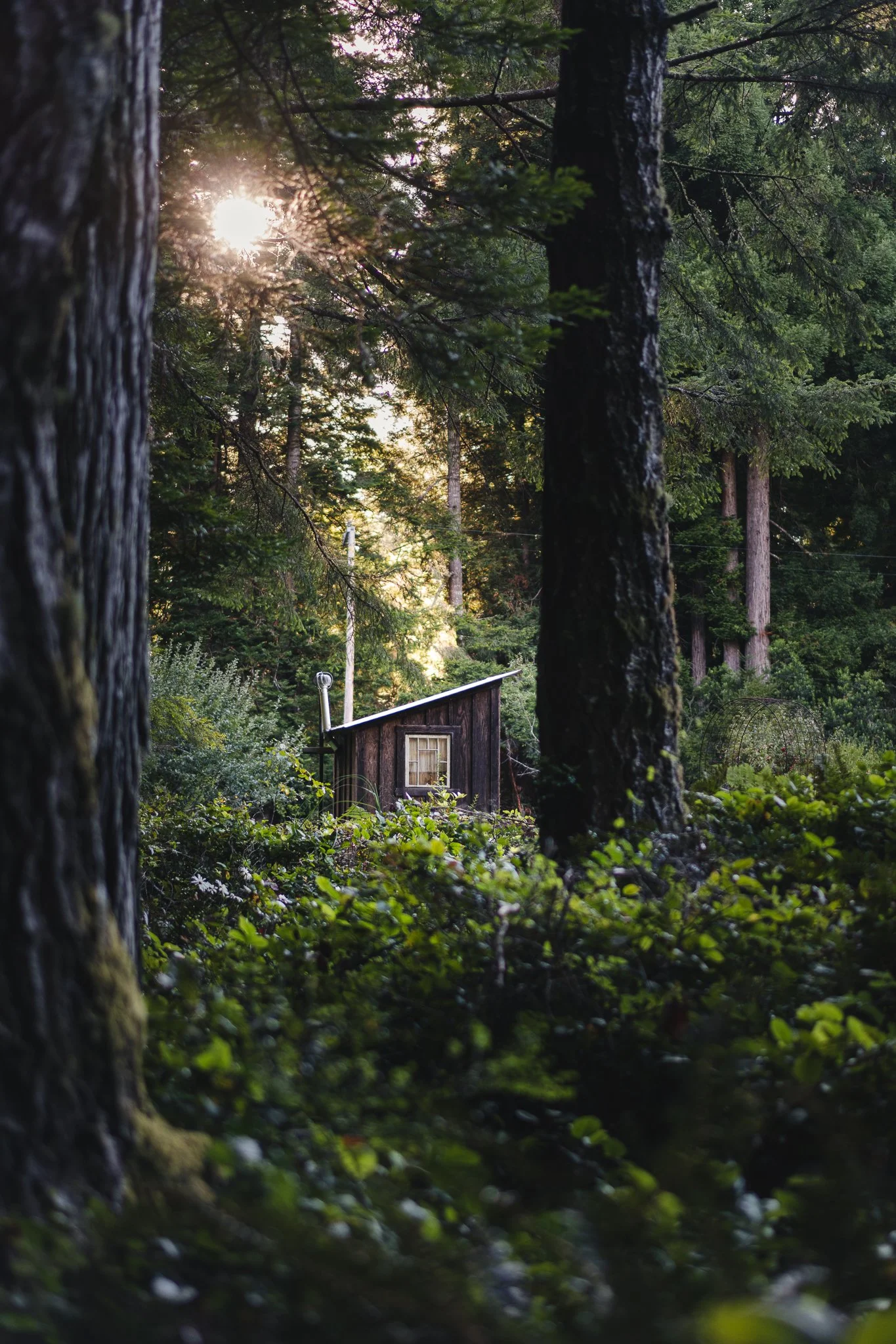 The Farm Mendo-21.jpg