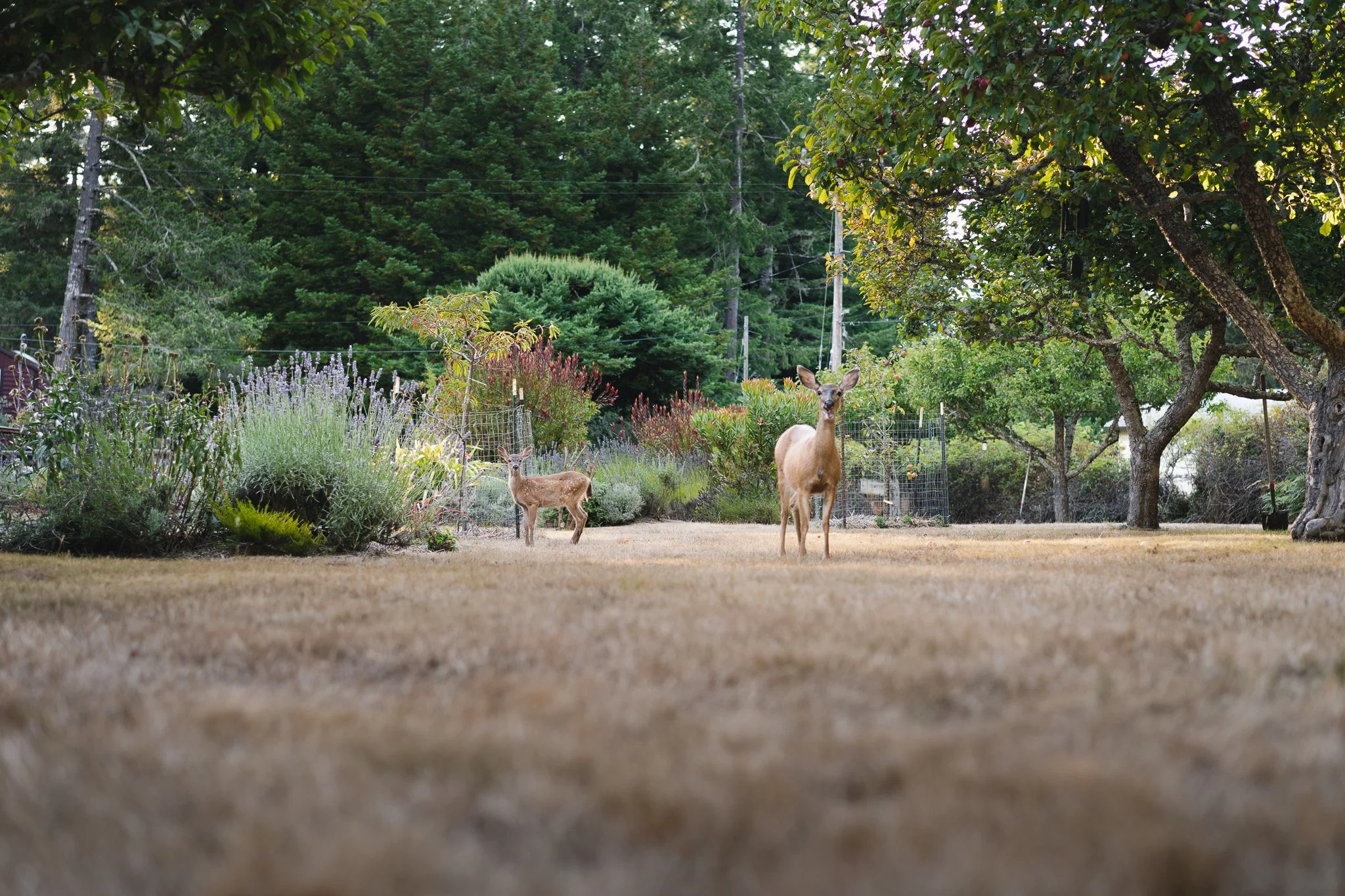 The Farm Mendo-42.jpg