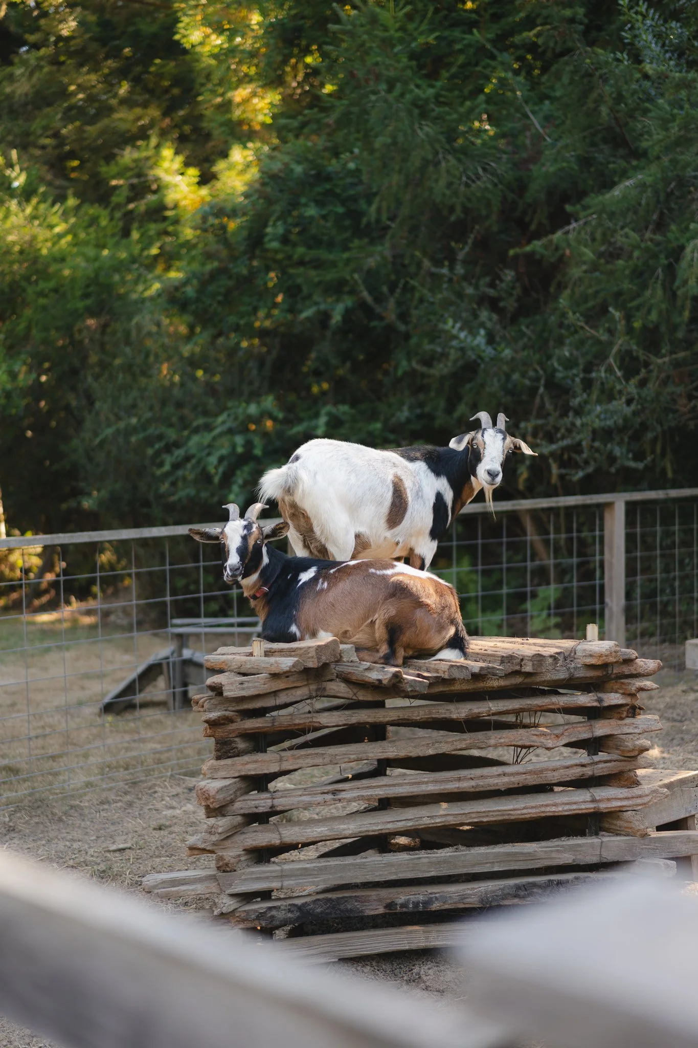 The Farm Mendo-44.jpg