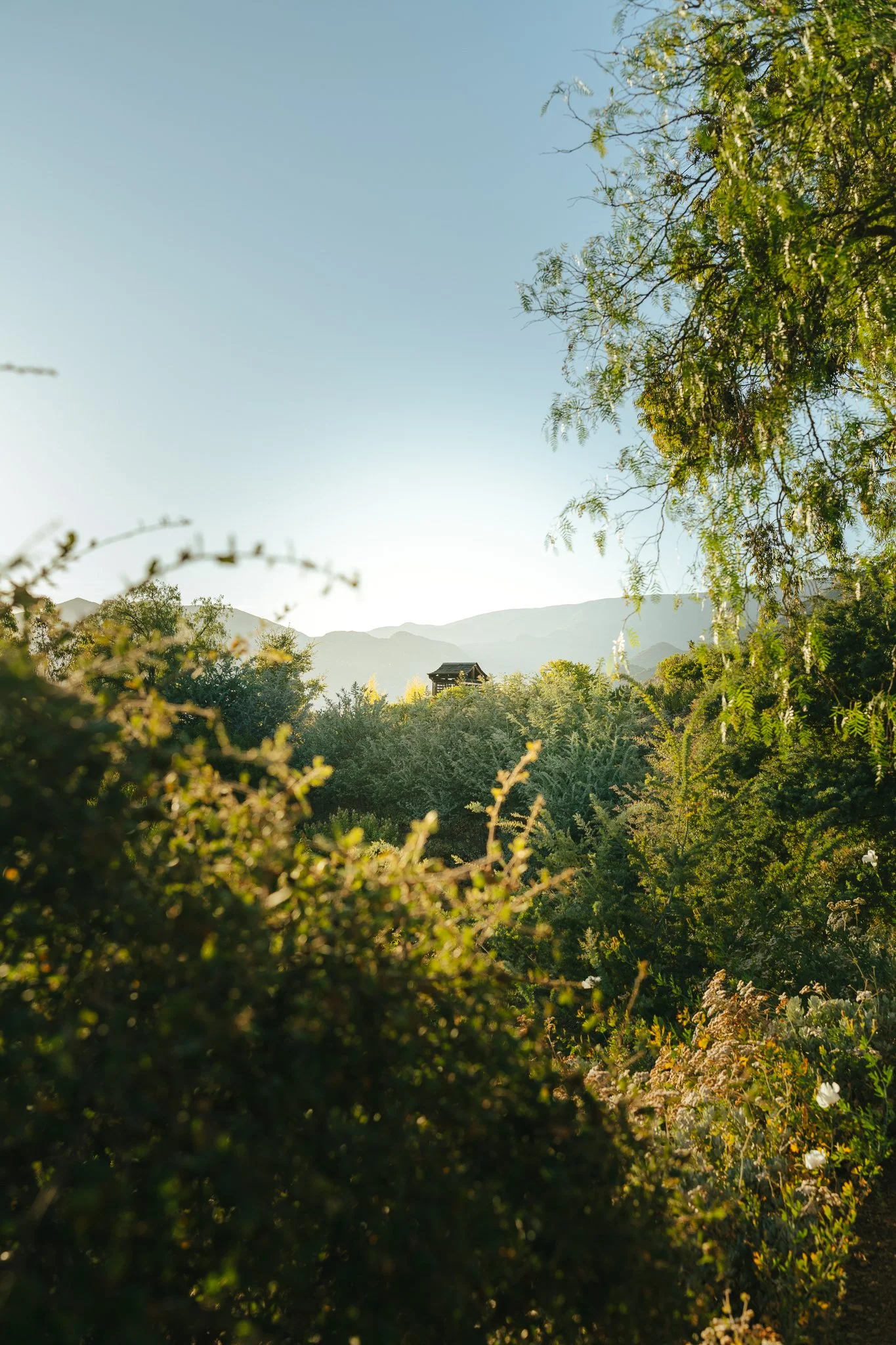 Meditation Mount, Ojai, California