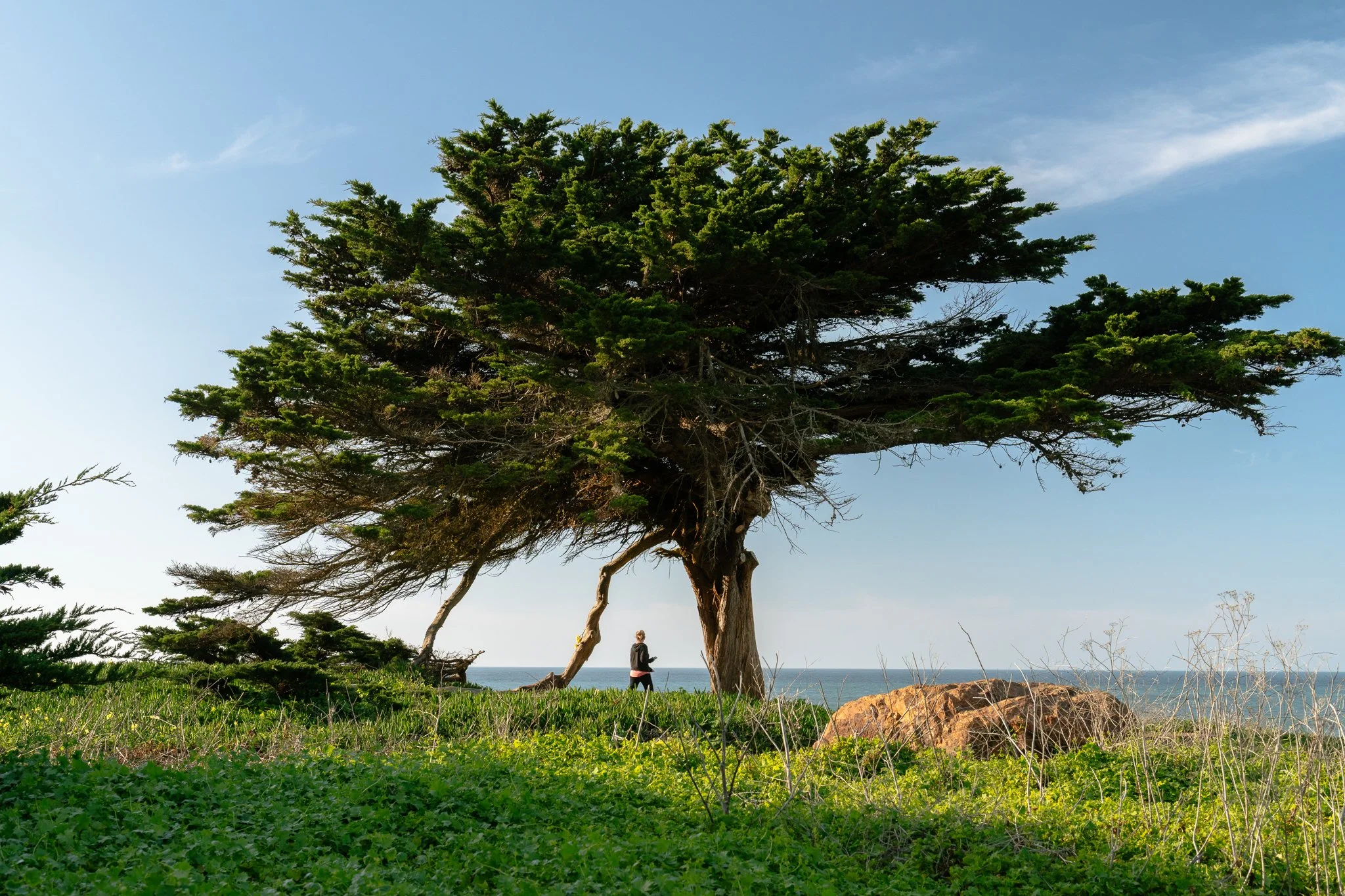 Mori Point, California
