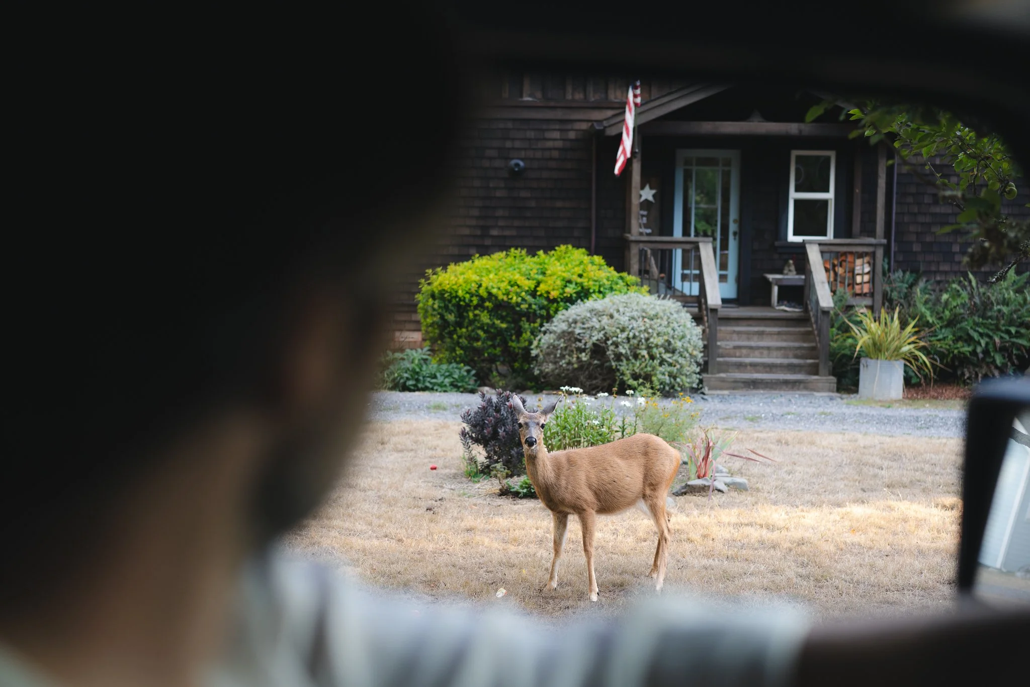 The Farm Mendo-43.jpg